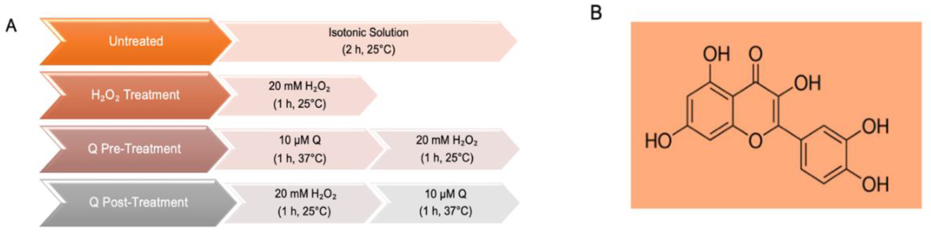 Ijms 23 10991 g002 Ijms 23 10991 g002