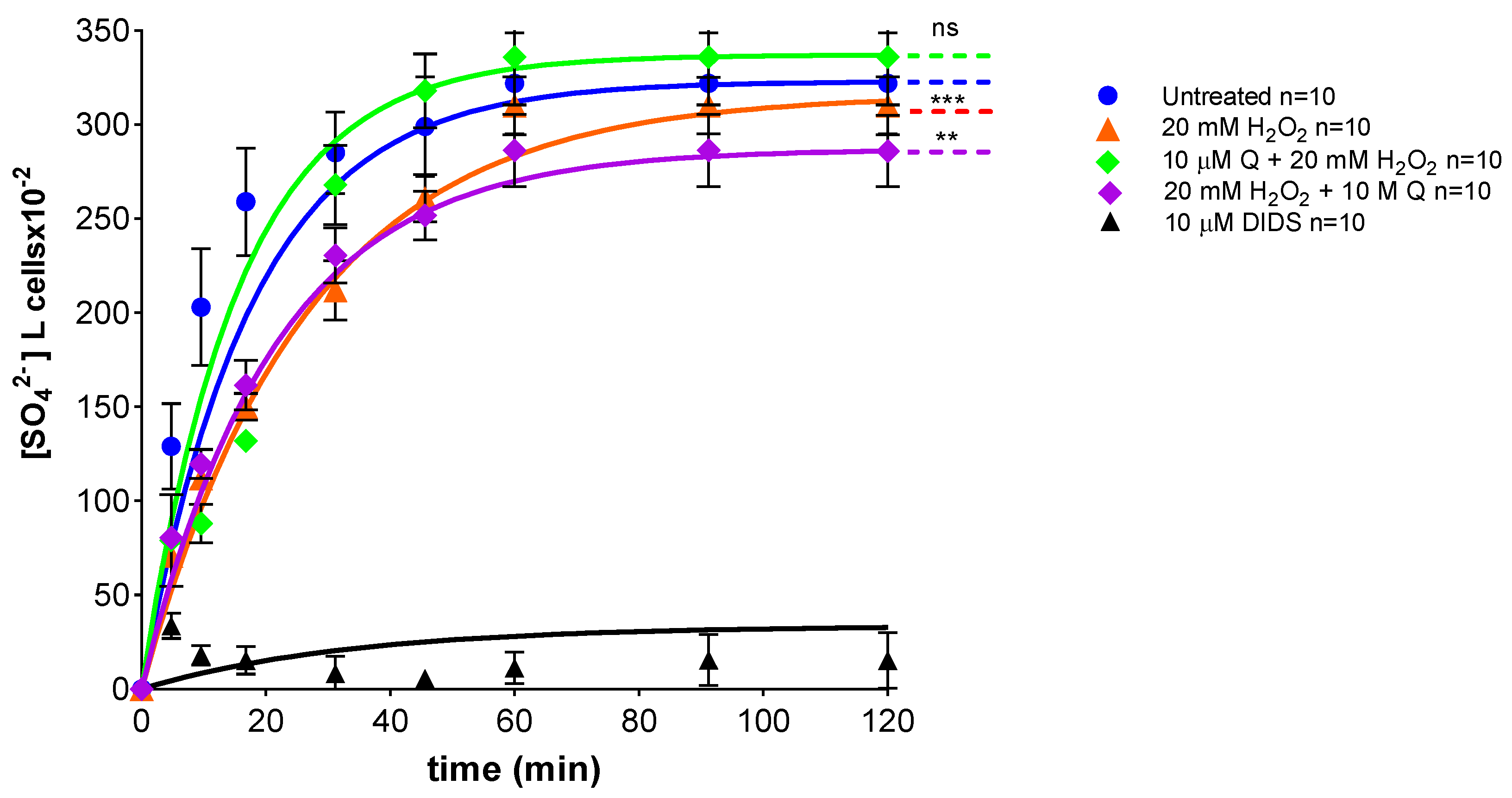 Ijms 23 10991 g007 Ijms 23 10991 g007