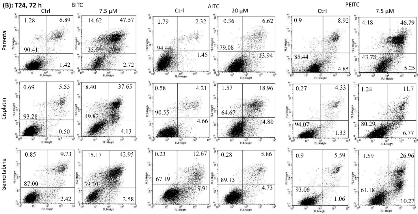 Ijms 23 10996 g004b 550