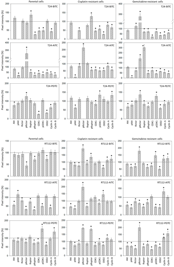 Ijms 23 10996 g009 550