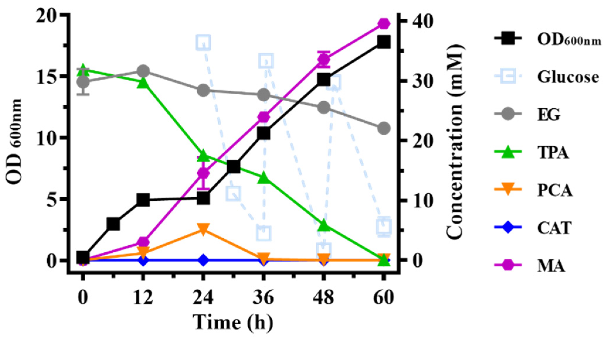 Ijms 23 10997 g004 550