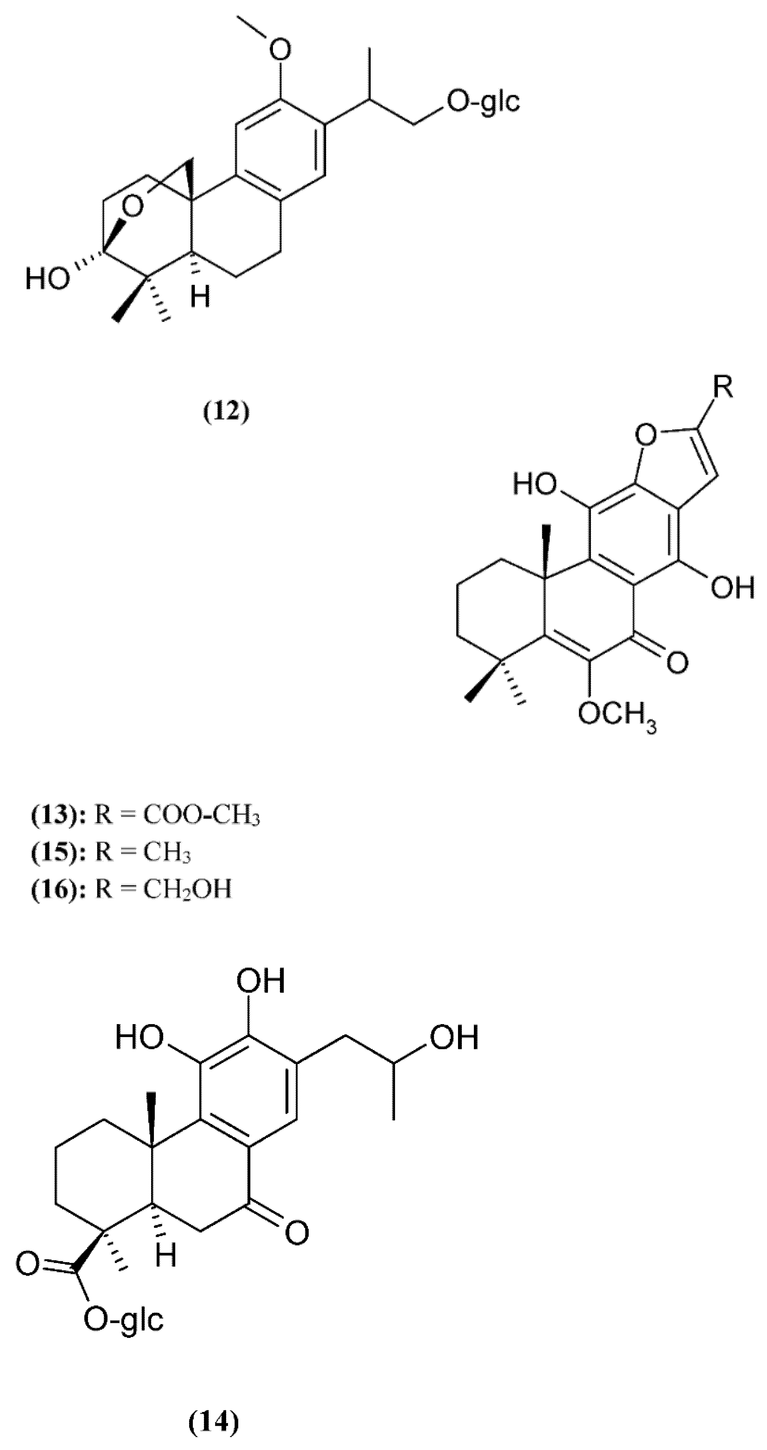 Ijms 23 11001 g002c Ijms 23 11001 g002c