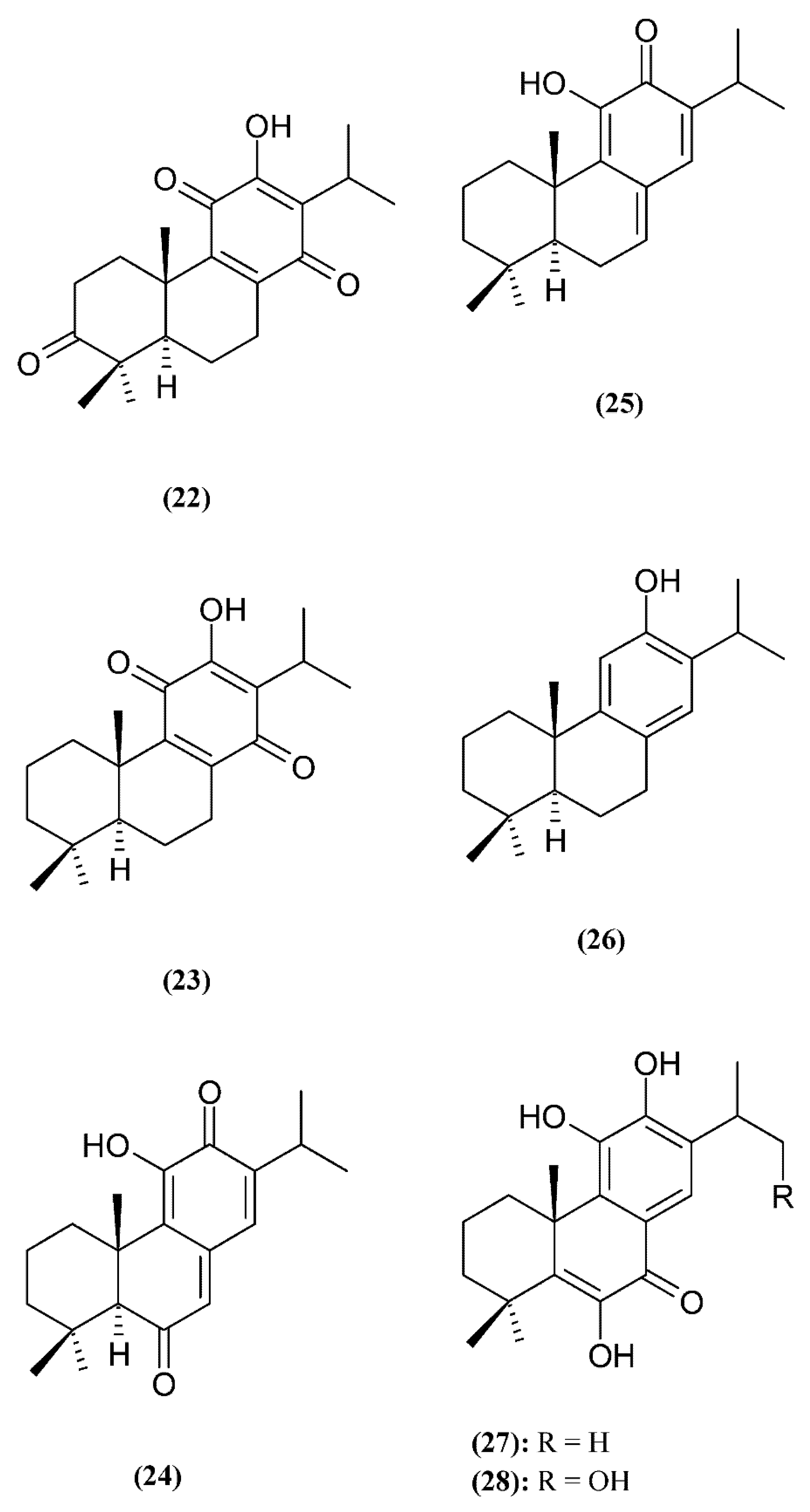 Ijms 23 11001 g002e Ijms 23 11001 g002e