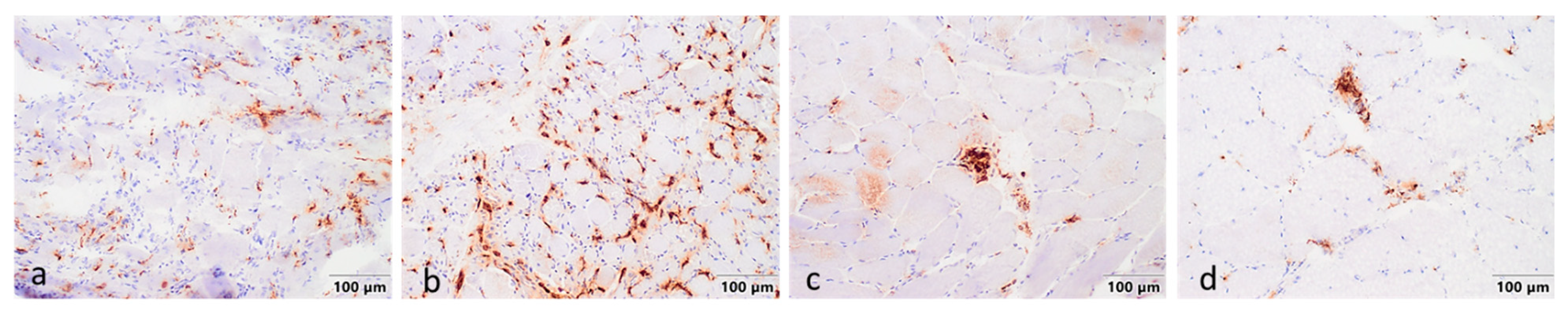 Ijms 23 11002 g002 550