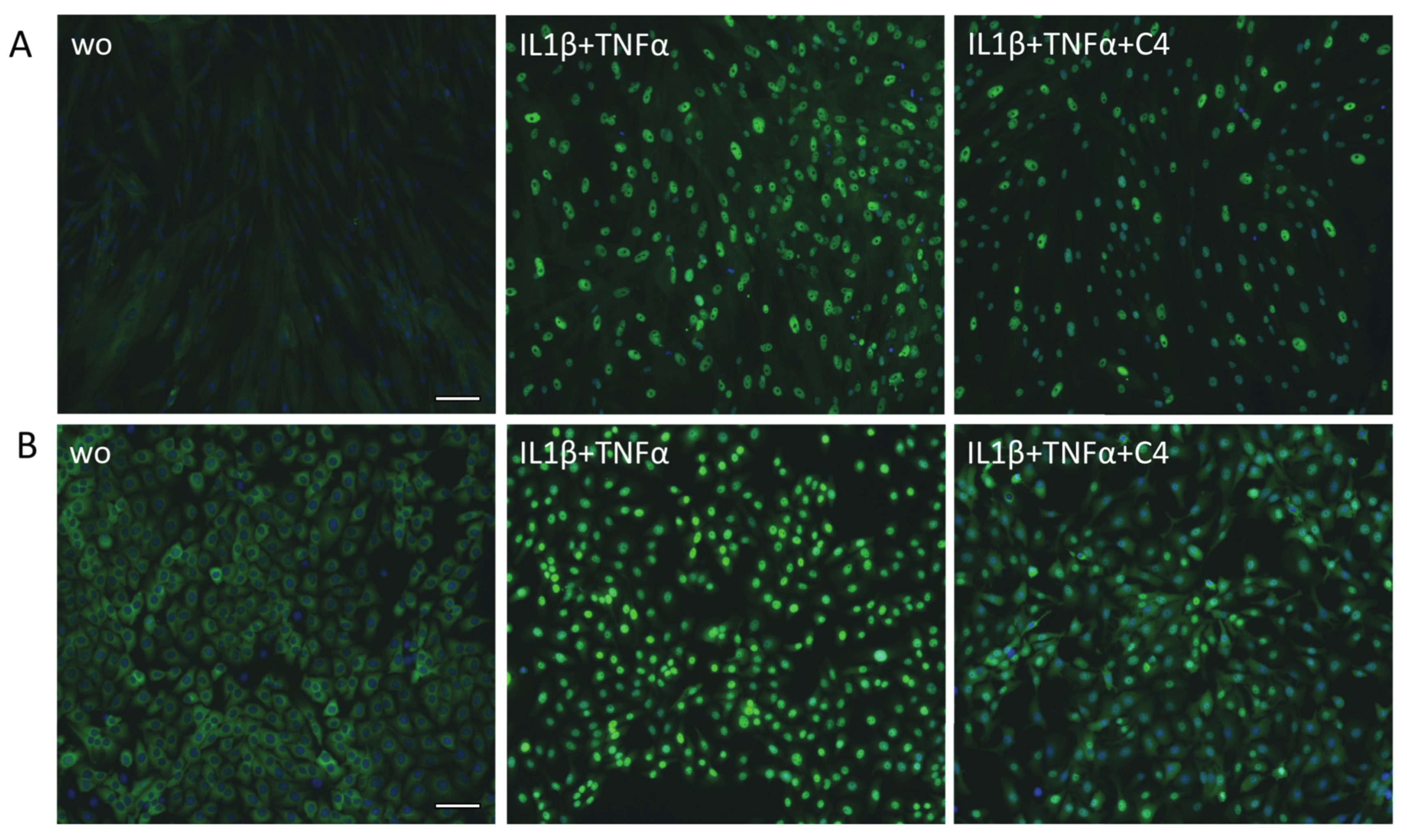 Ijms 23 11006 g007 Ijms 23 11006 g007