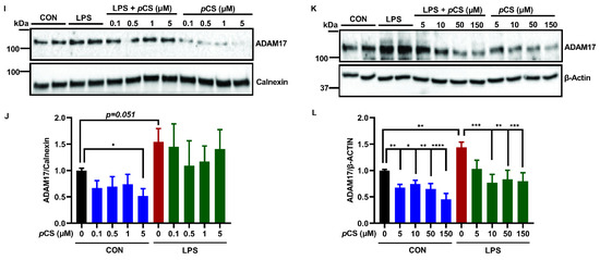 ファミコン　ソフト The Autism Spectrum Disorder-Associated Bacterial Metabolite