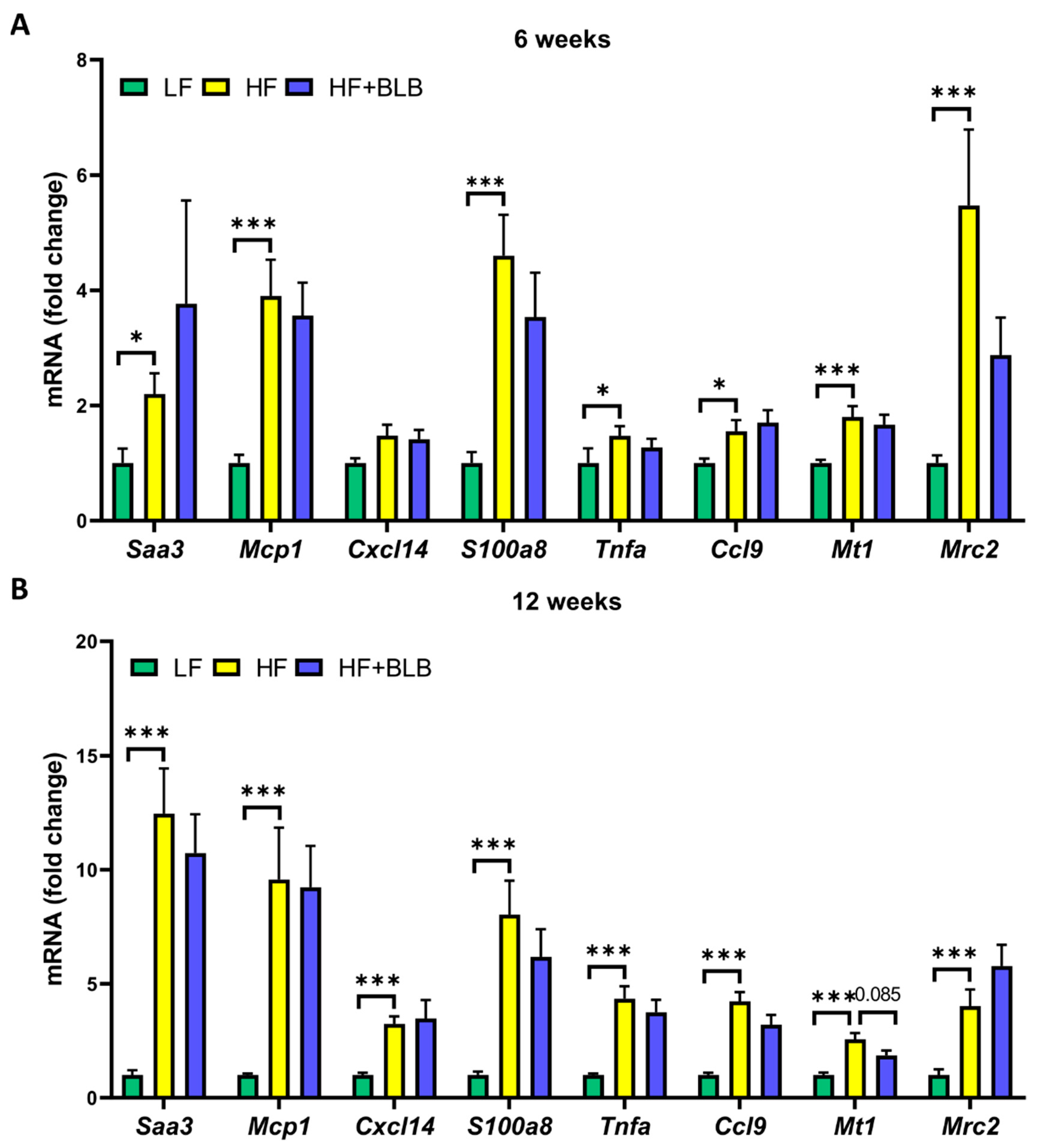 Ijms 23 11021 g007 Ijms 23 11021 g007