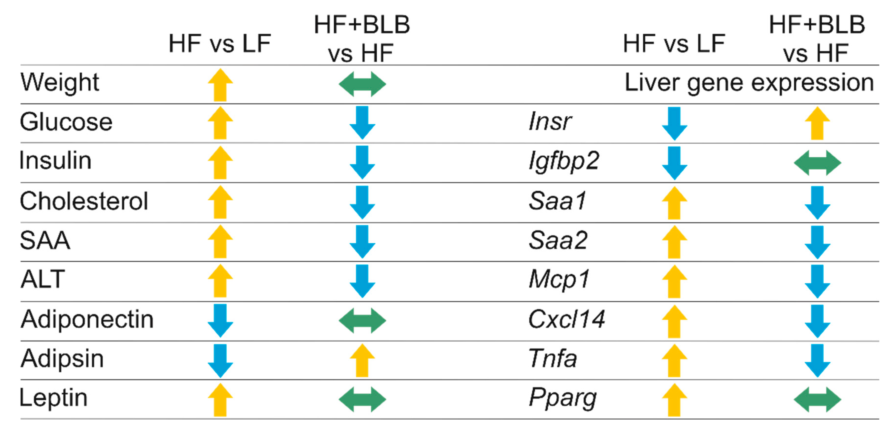 Ijms 23 11021 g008 Ijms 23 11021 g008
