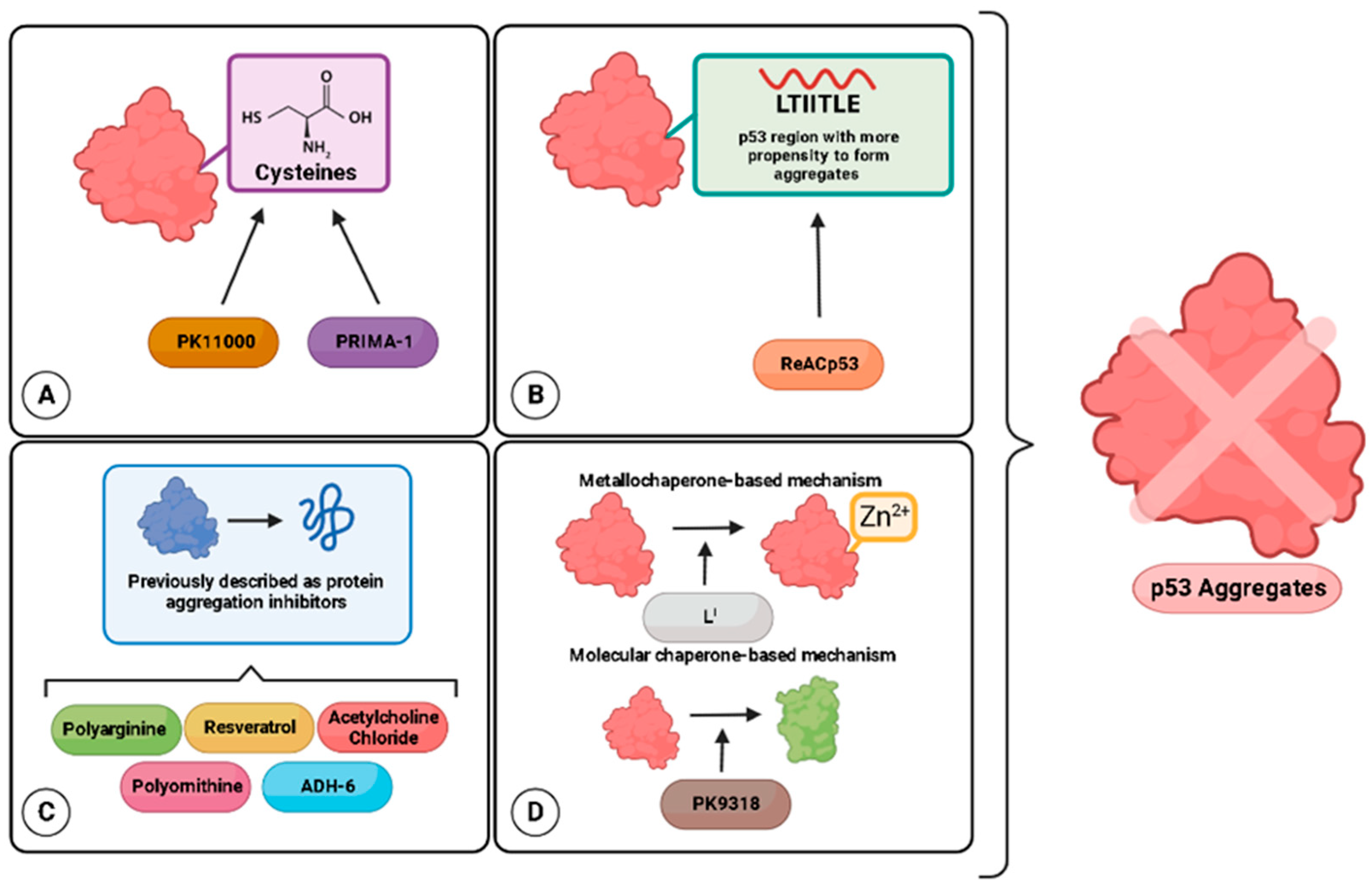 Ijms 23 11023 g001 Ijms 23 11023 g001