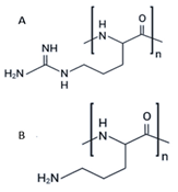 Ijms 23 11023 i009 Ijms 23 11023 i009