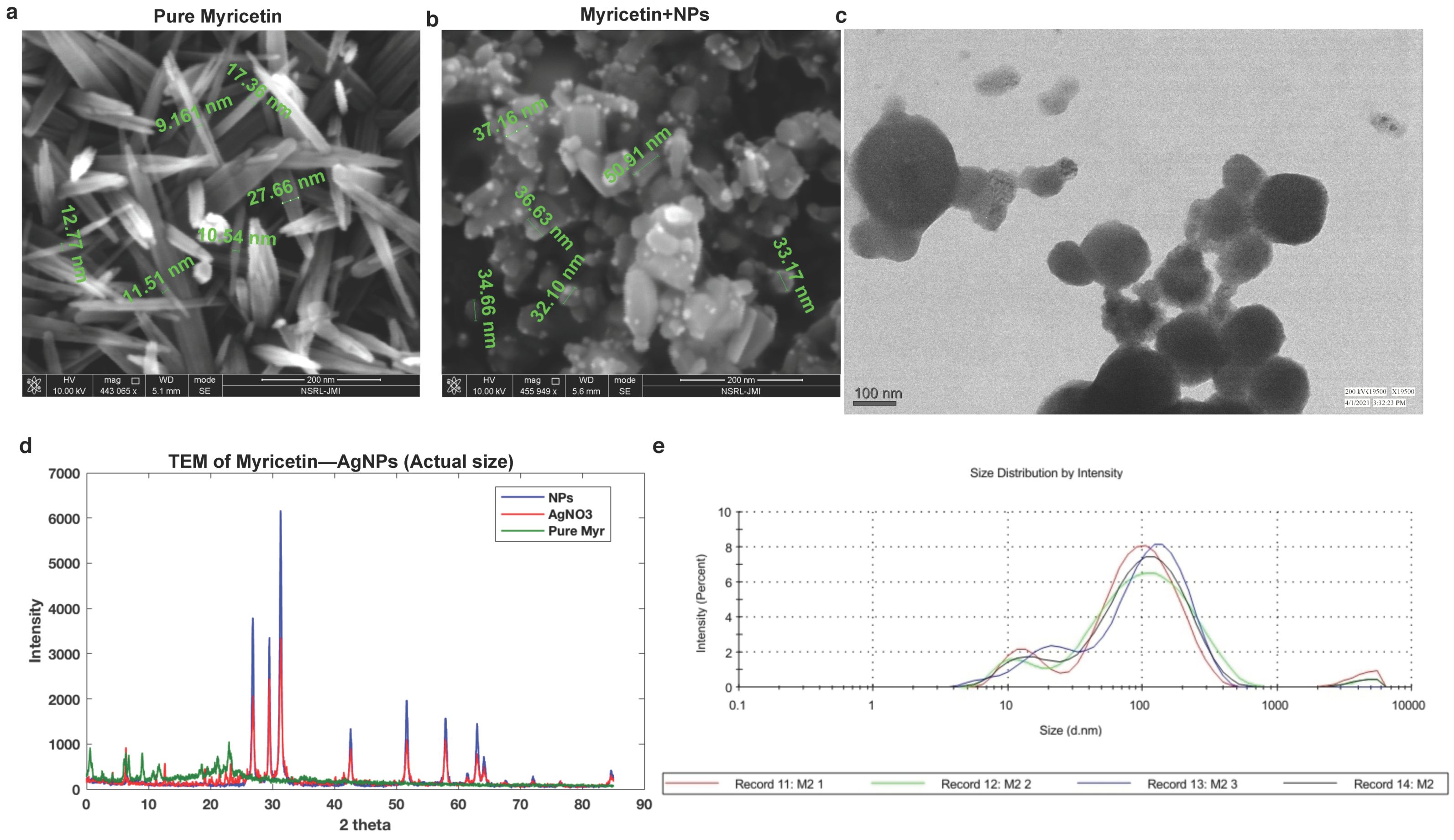 Ijms 23 11024 g003 Ijms 23 11024 g003