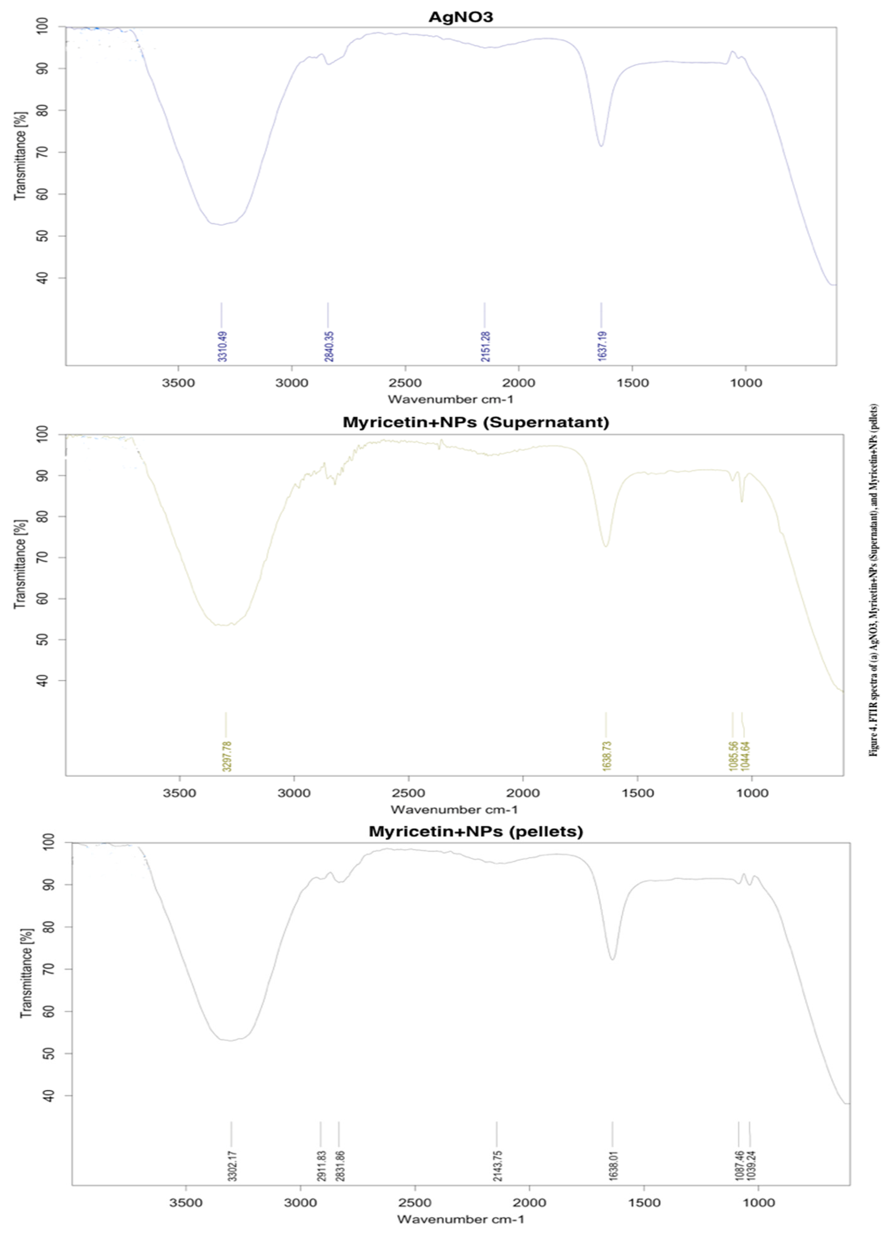 Ijms 23 11024 g004 Ijms 23 11024 g004