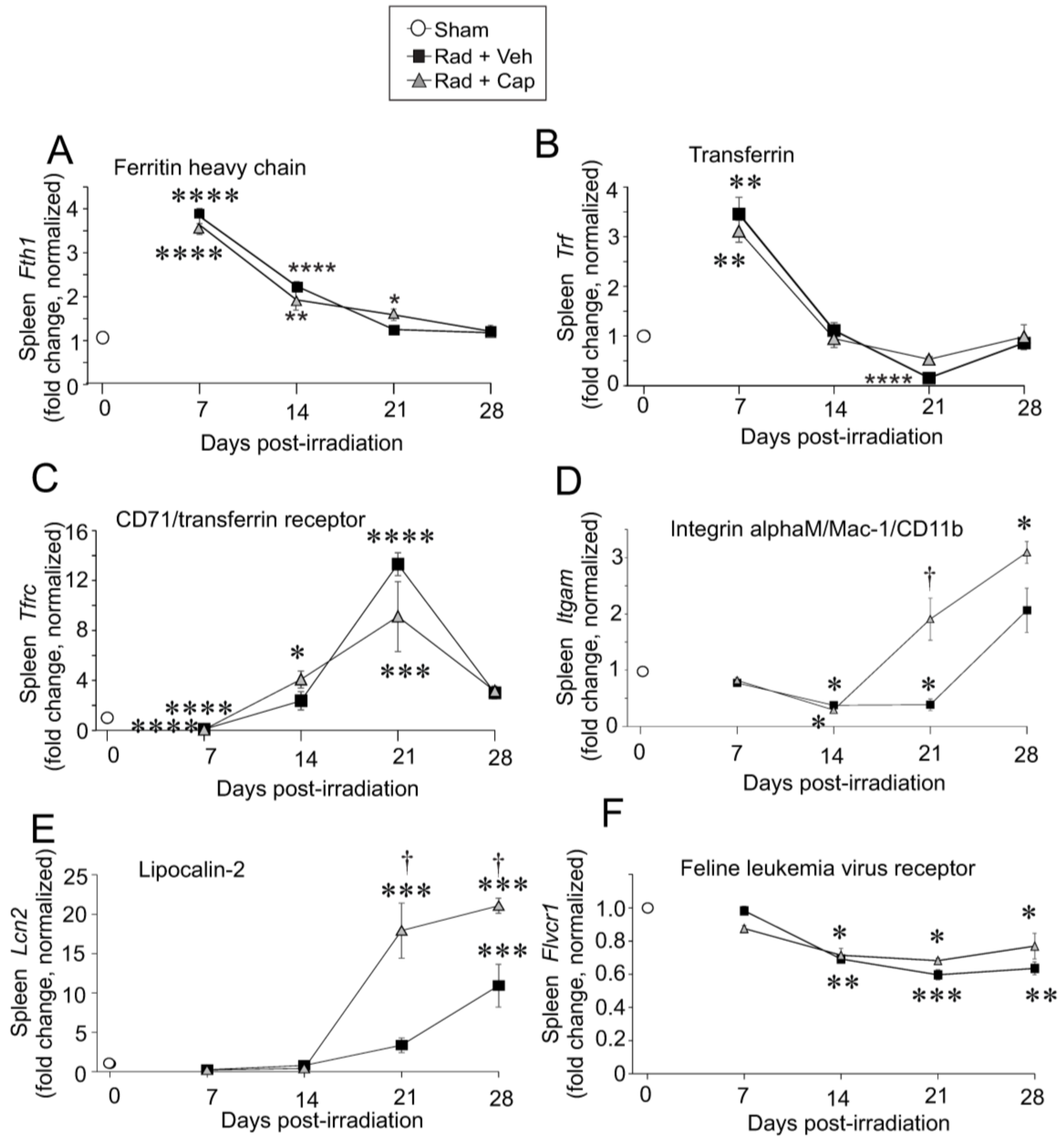 Ijms 23 11029 g003 Ijms 23 11029 g003