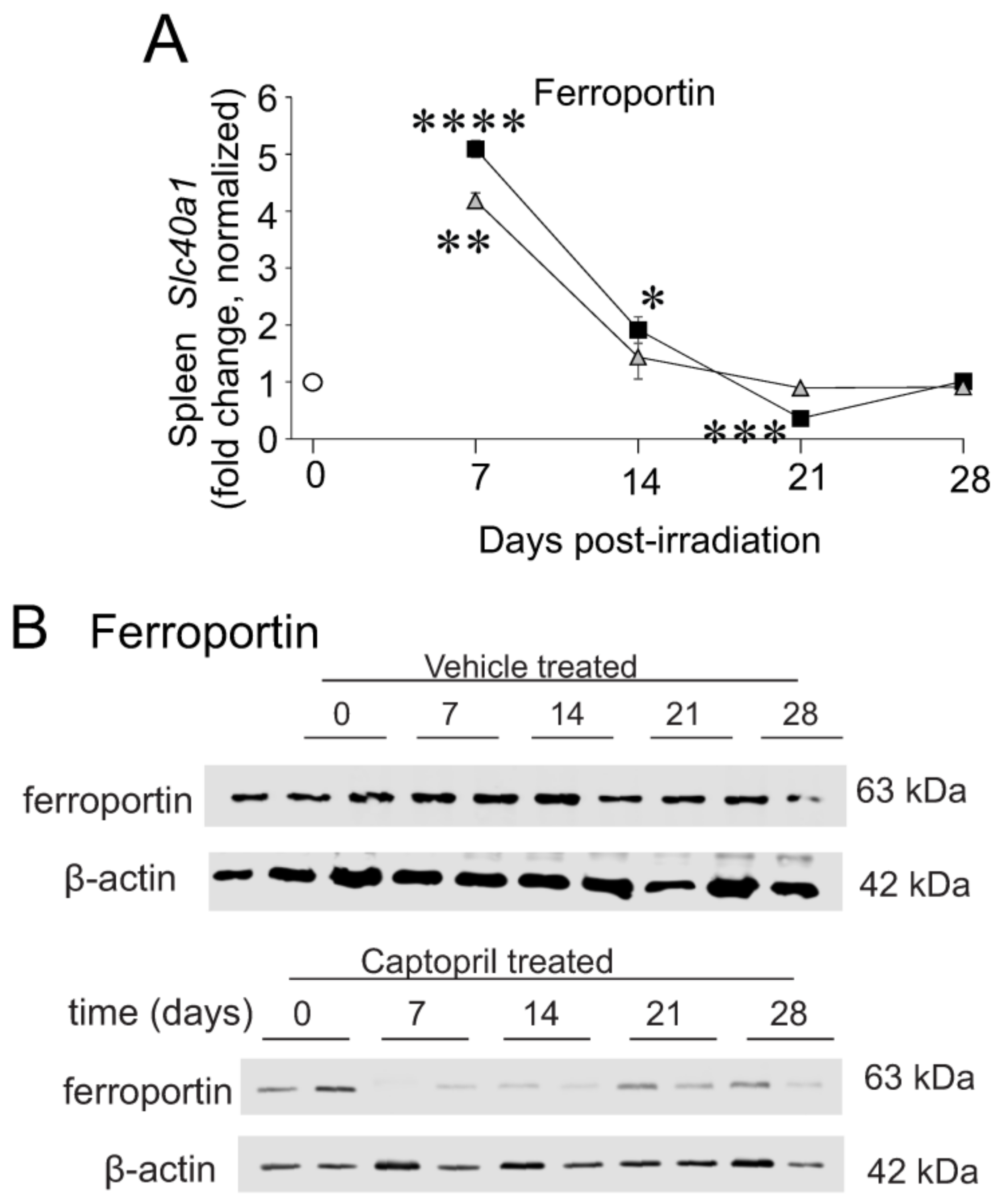 Ijms 23 11029 g004 Ijms 23 11029 g004