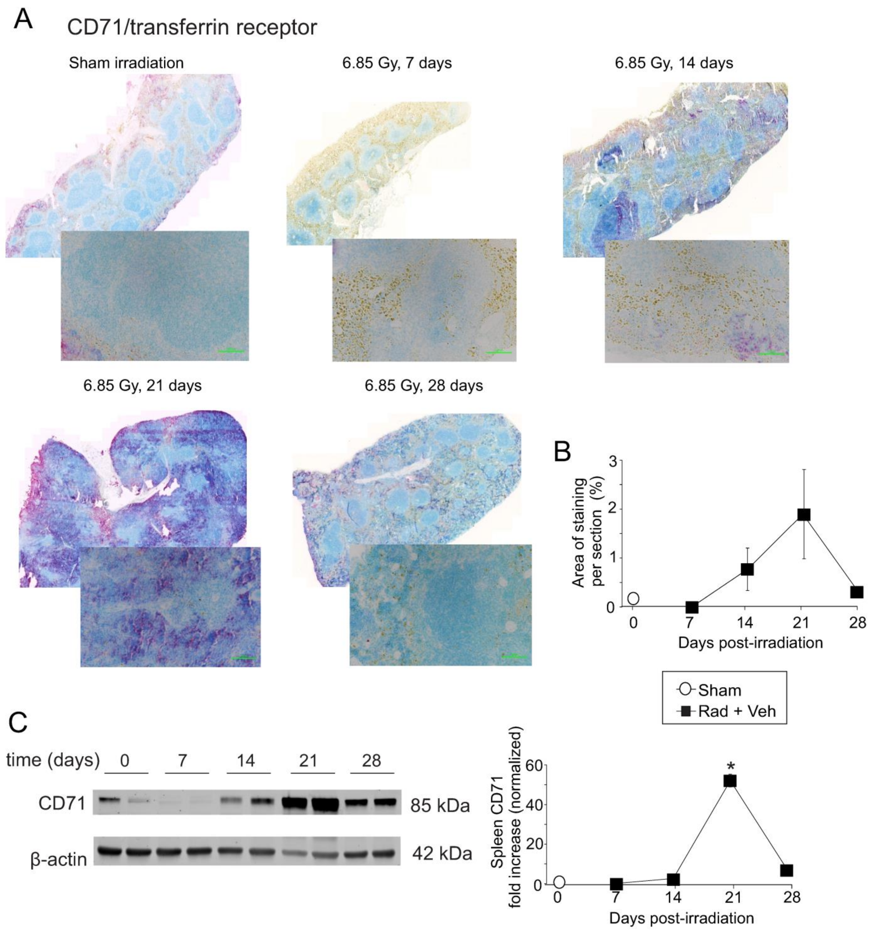 Ijms 23 11029 g006 Ijms 23 11029 g006
