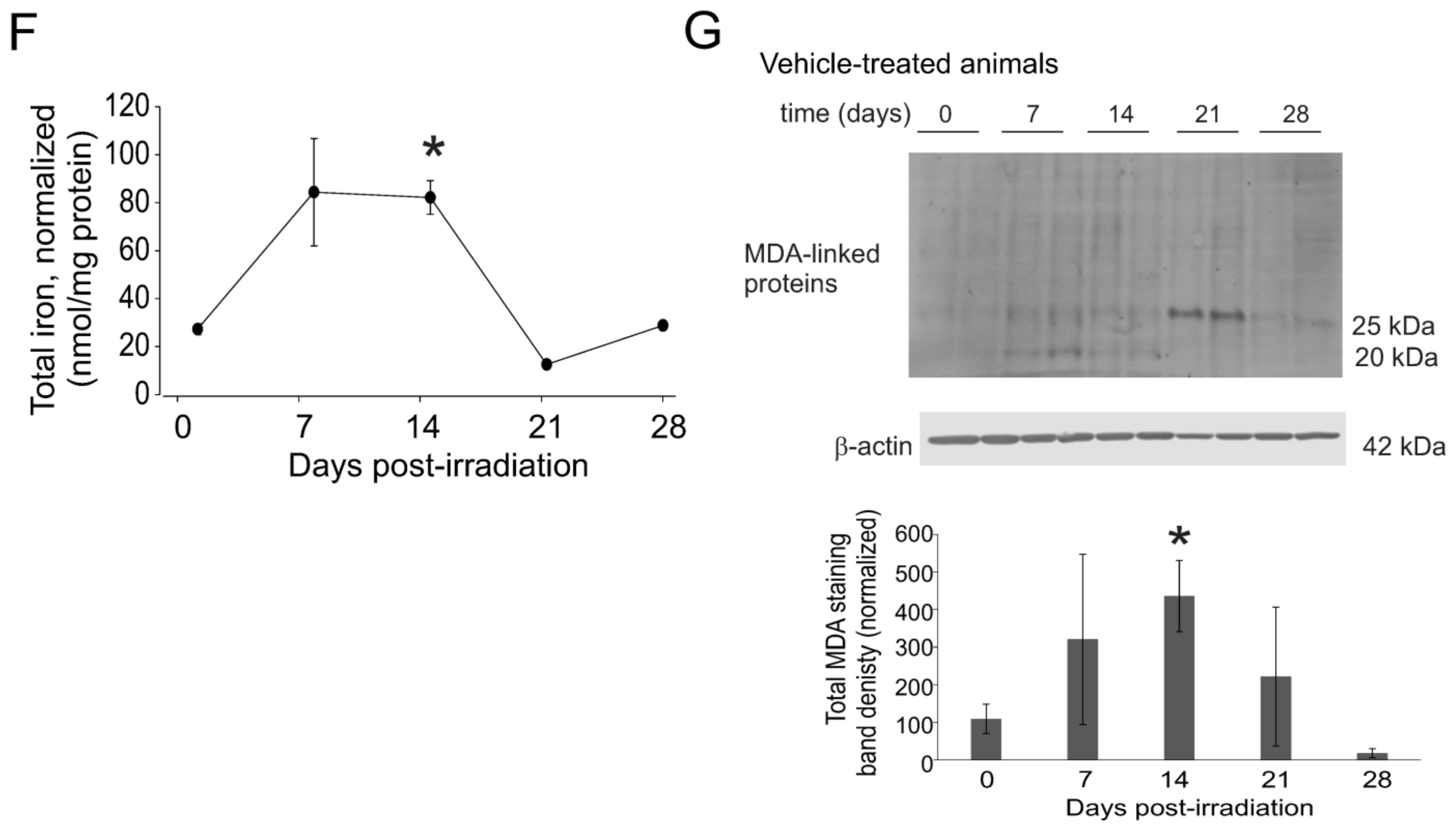 Ijms 23 11029 g007b Ijms 23 11029 g007b