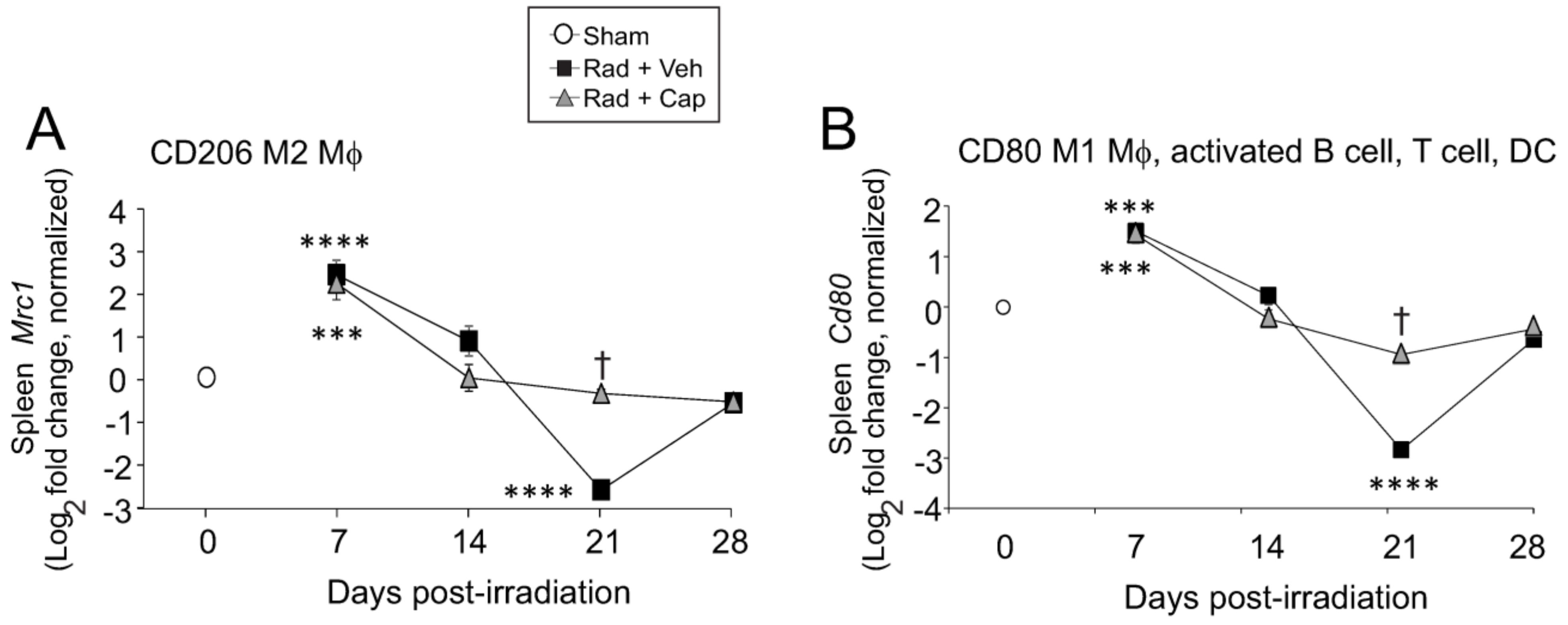 Ijms 23 11029 g008 Ijms 23 11029 g008