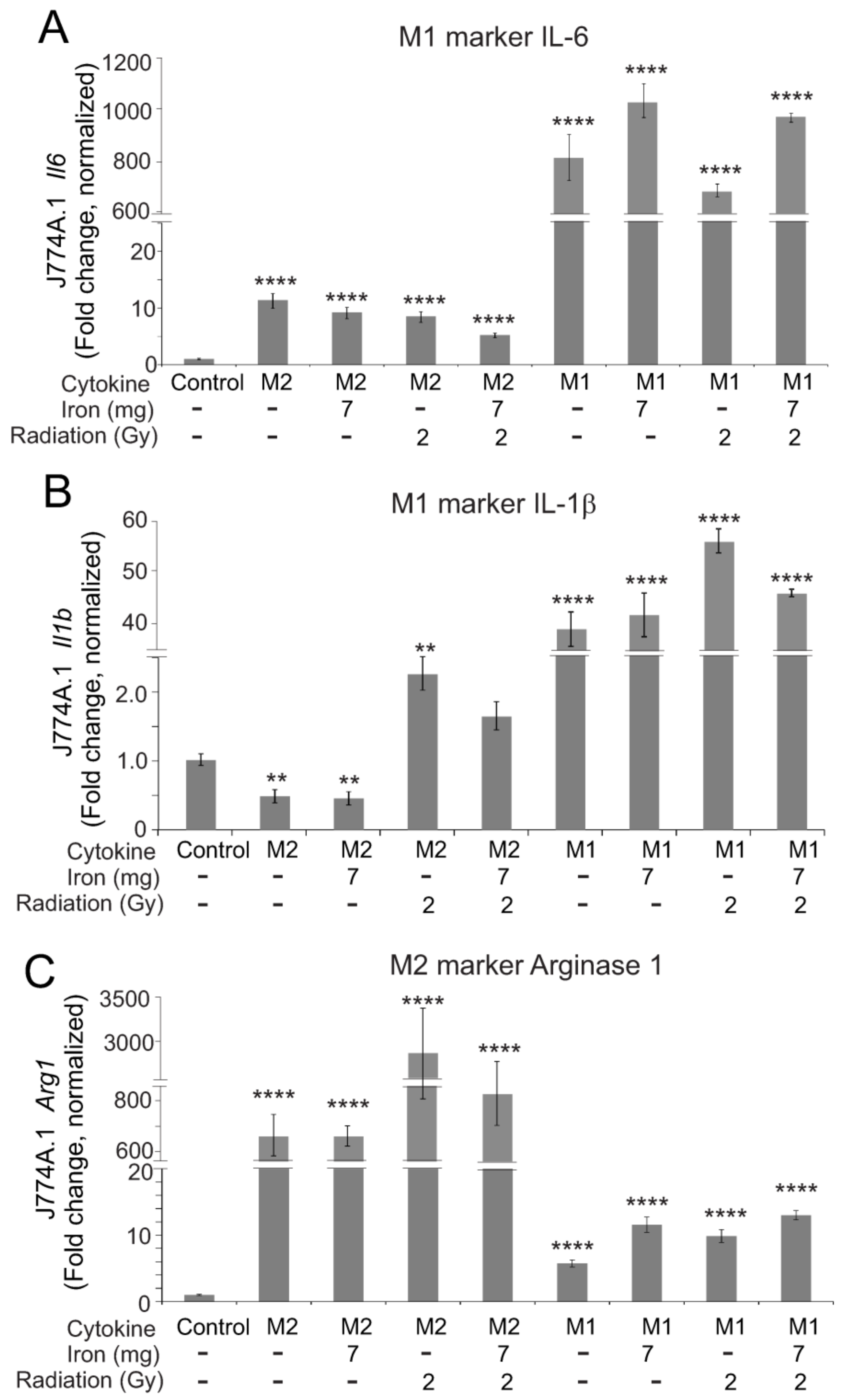 Ijms 23 11029 g010 Ijms 23 11029 g010