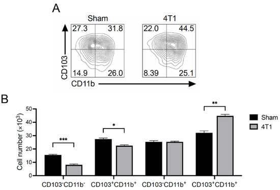 Immune State Conversion of the Mesenteric Lymph Node in a