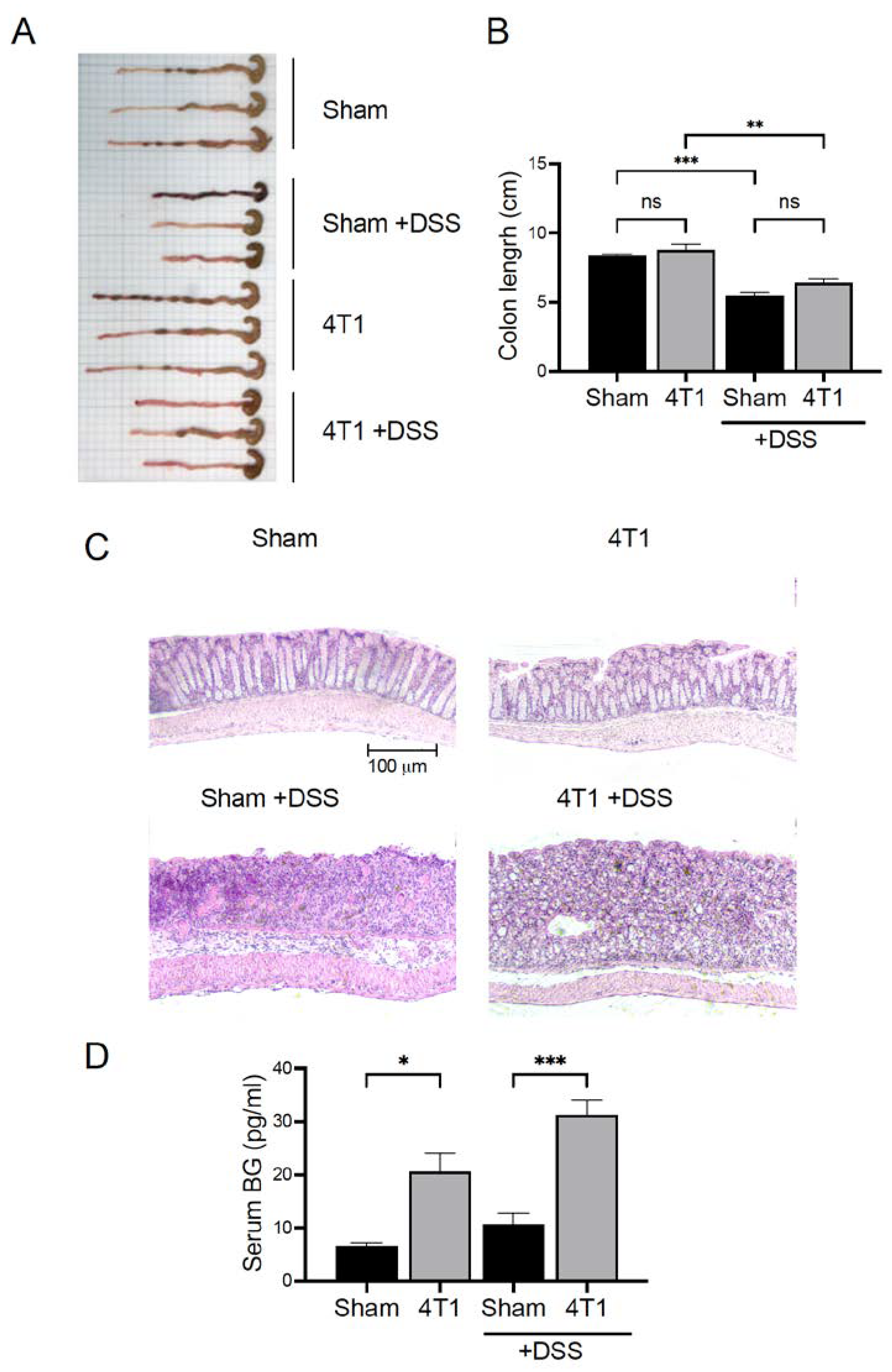 Ijms 23 11035 g006 Ijms 23 11035 g006