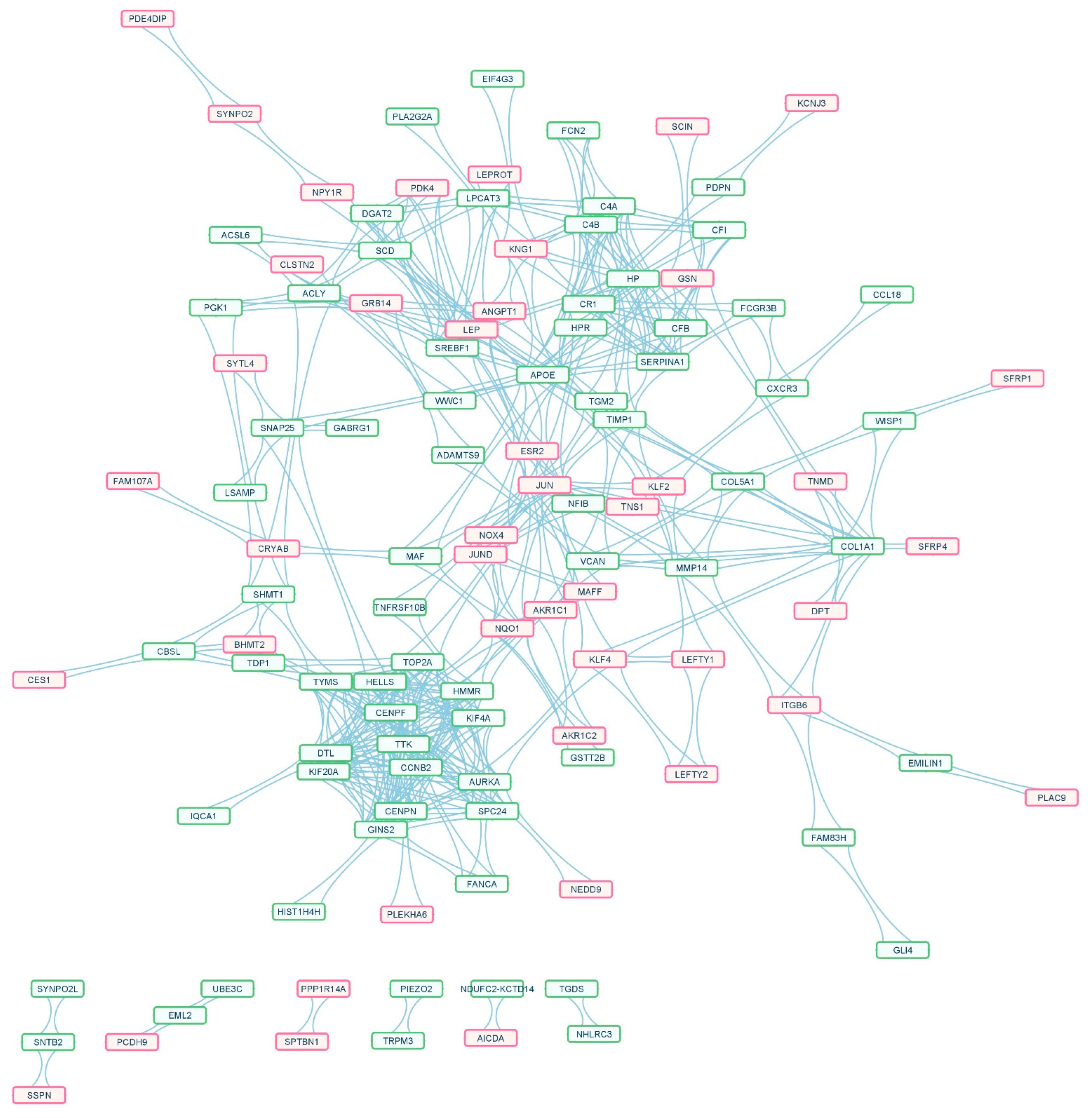 Ijms 23 11036 g004 550