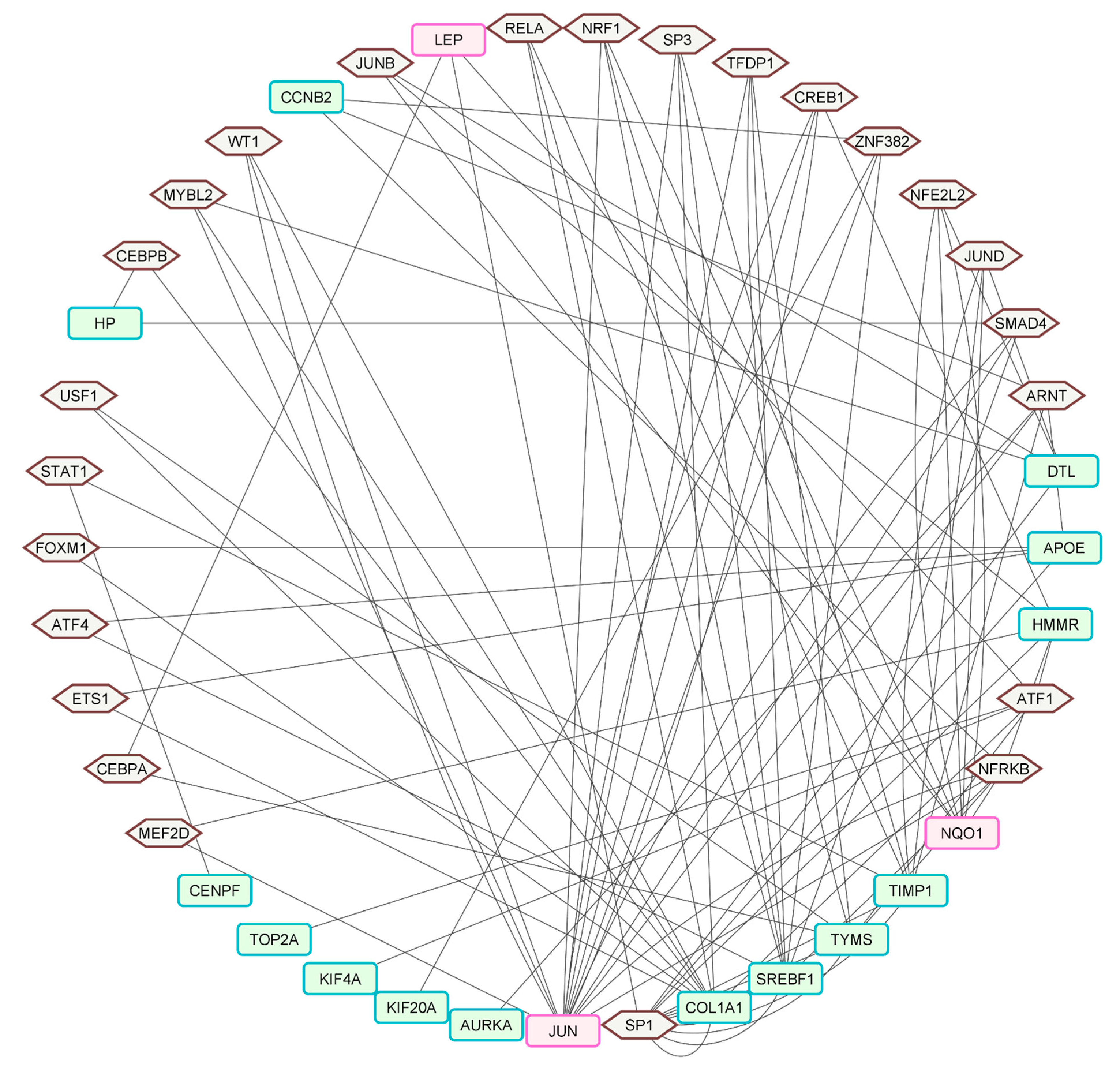 Ijms 23 11036 g006 550