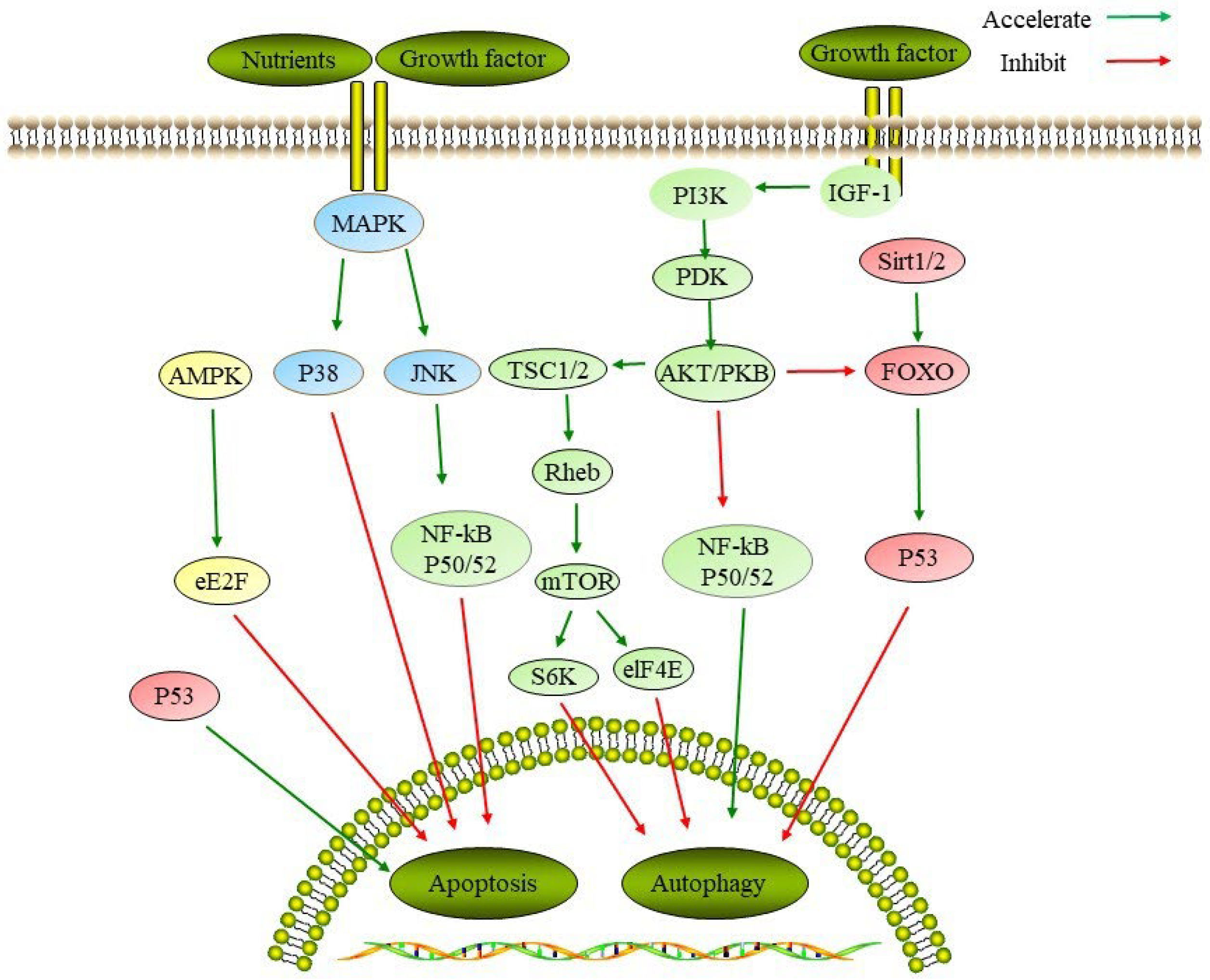 Ijms 23 11038 g002 Ijms 23 11038 g002