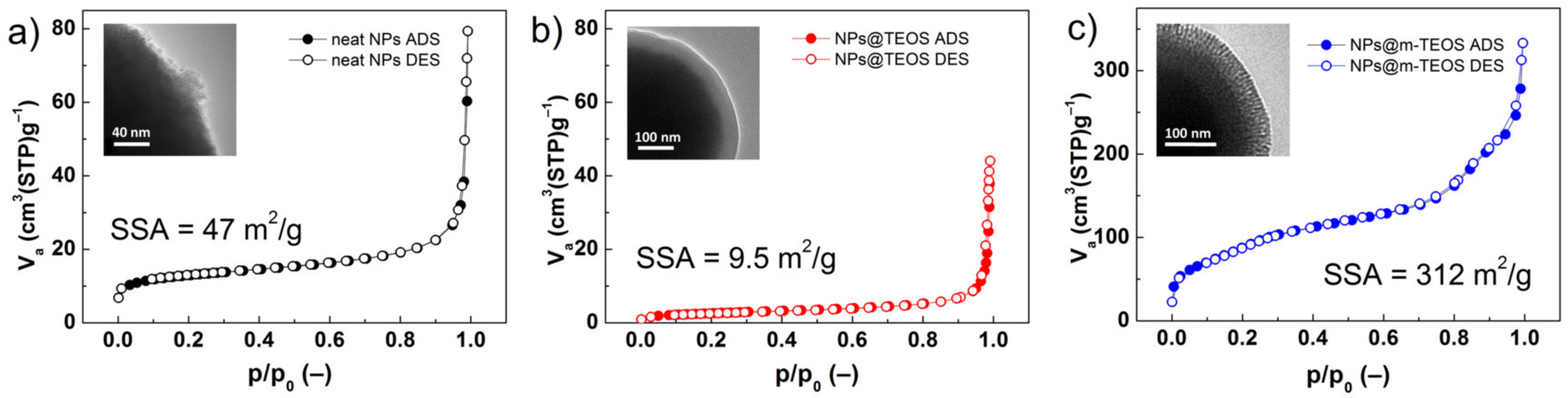 Ijms 23 11044 g004 550