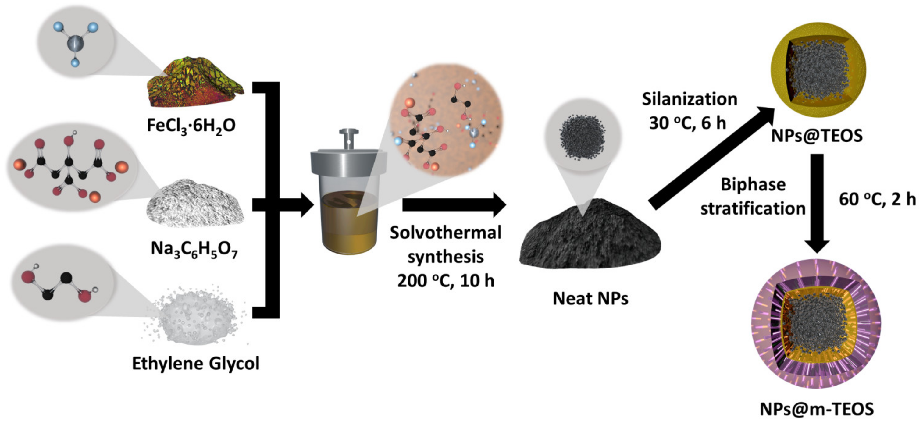 Ijms 23 11044 g010 550