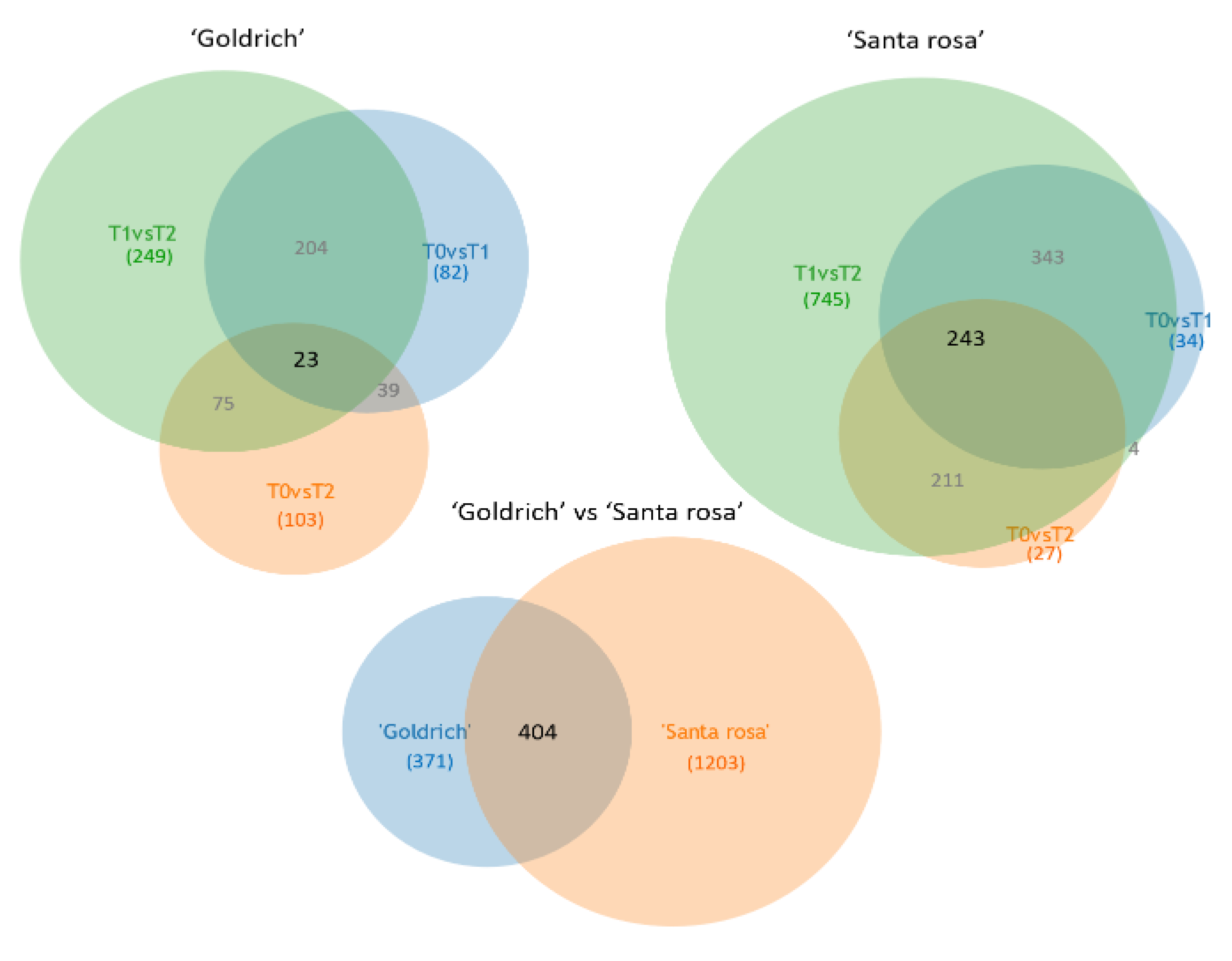 Ijms 23 11045 g005 Ijms 23 11045 g005