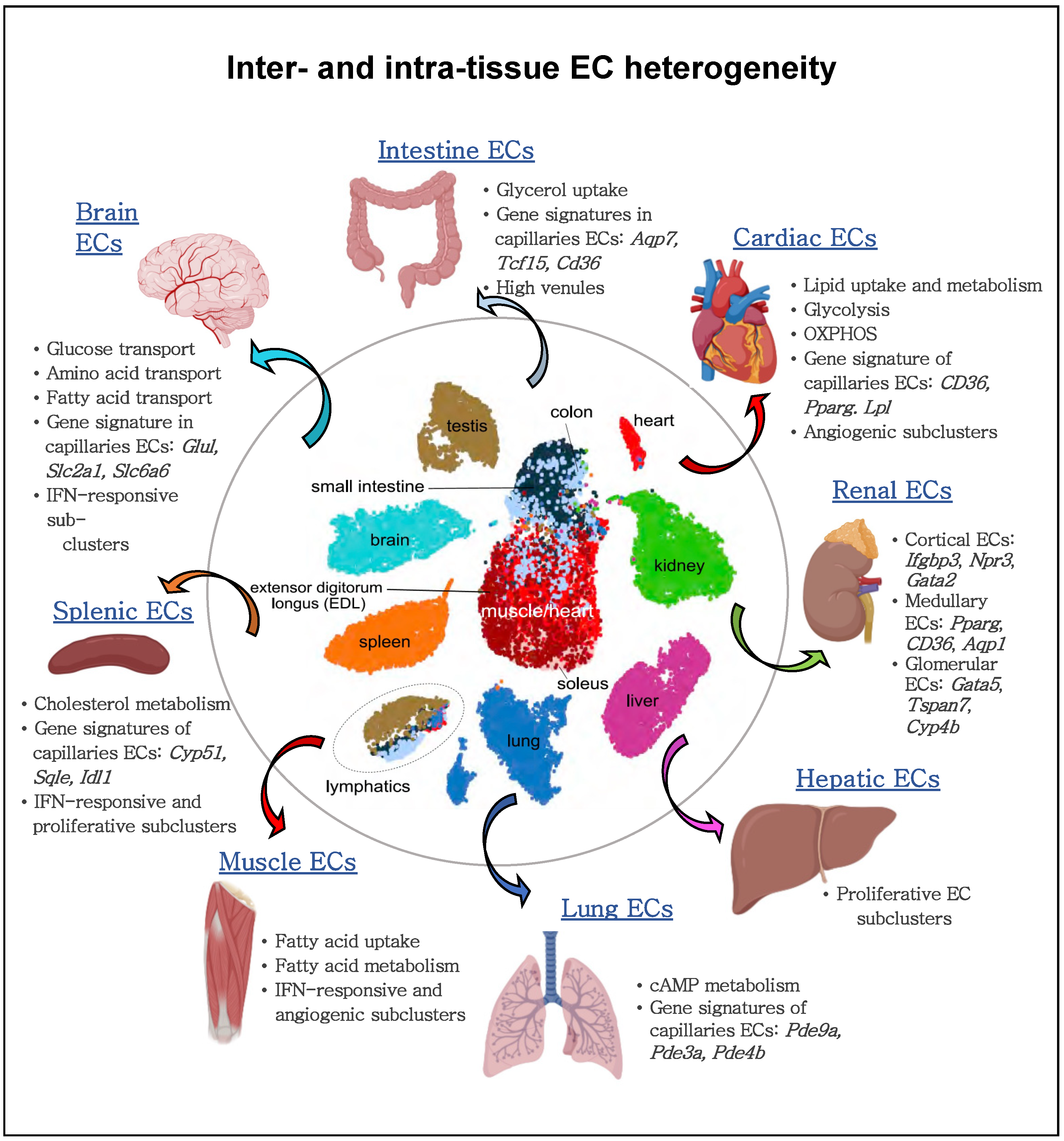 Ijms 23 11052 g003 Ijms 23 11052 g003