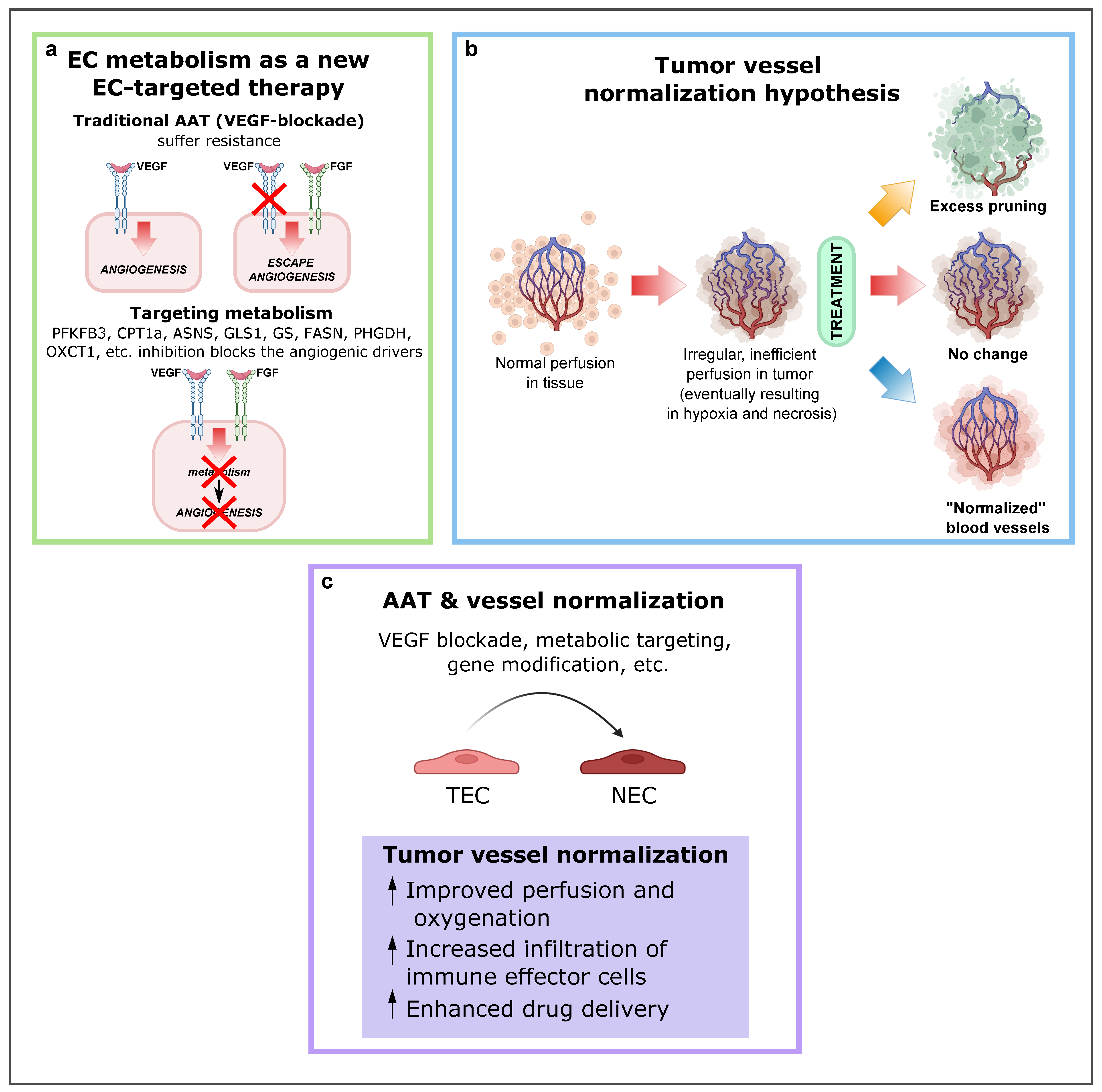 Ijms 23 11052 g004 Ijms 23 11052 g004