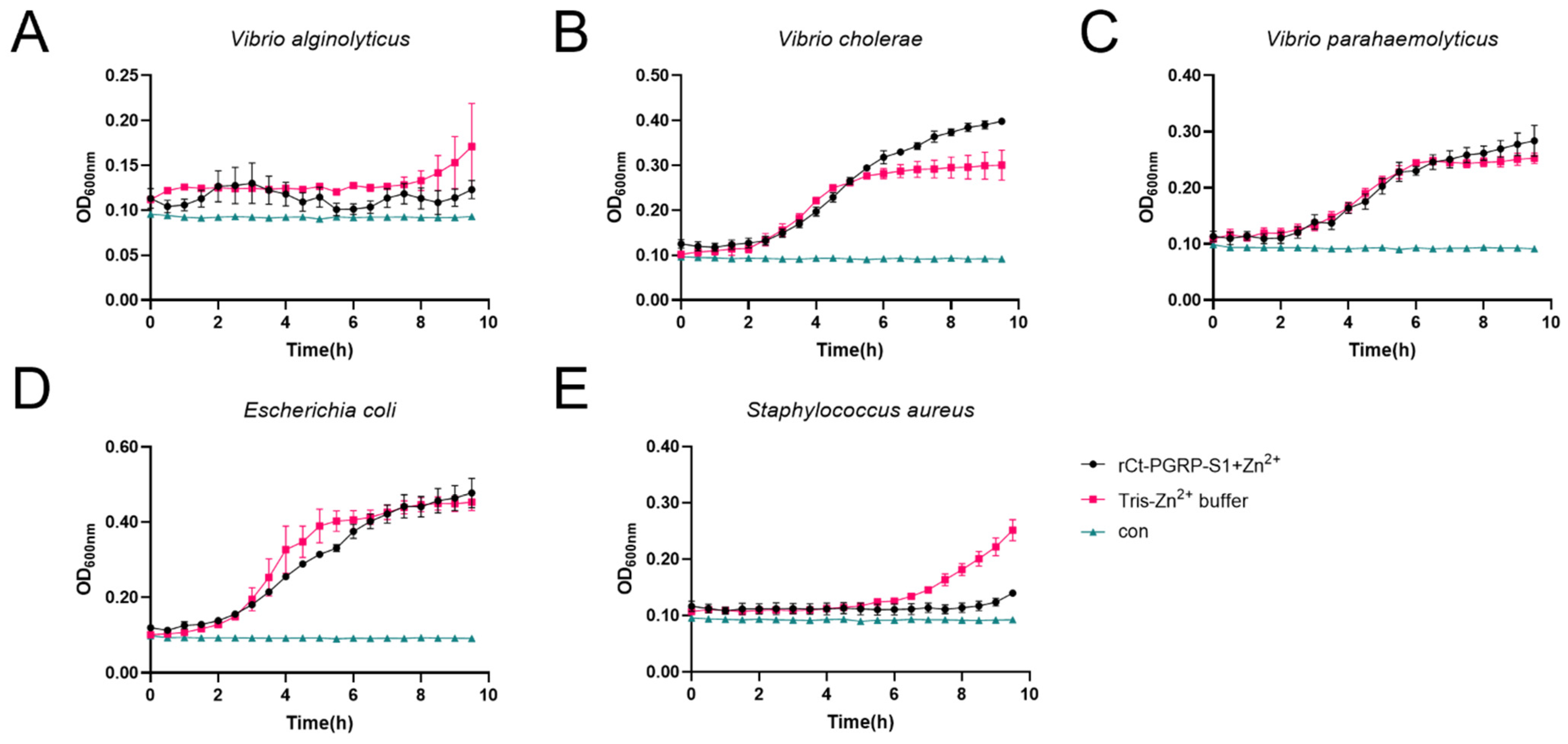 Ijms 23 11062 g006 Ijms 23 11062 g006