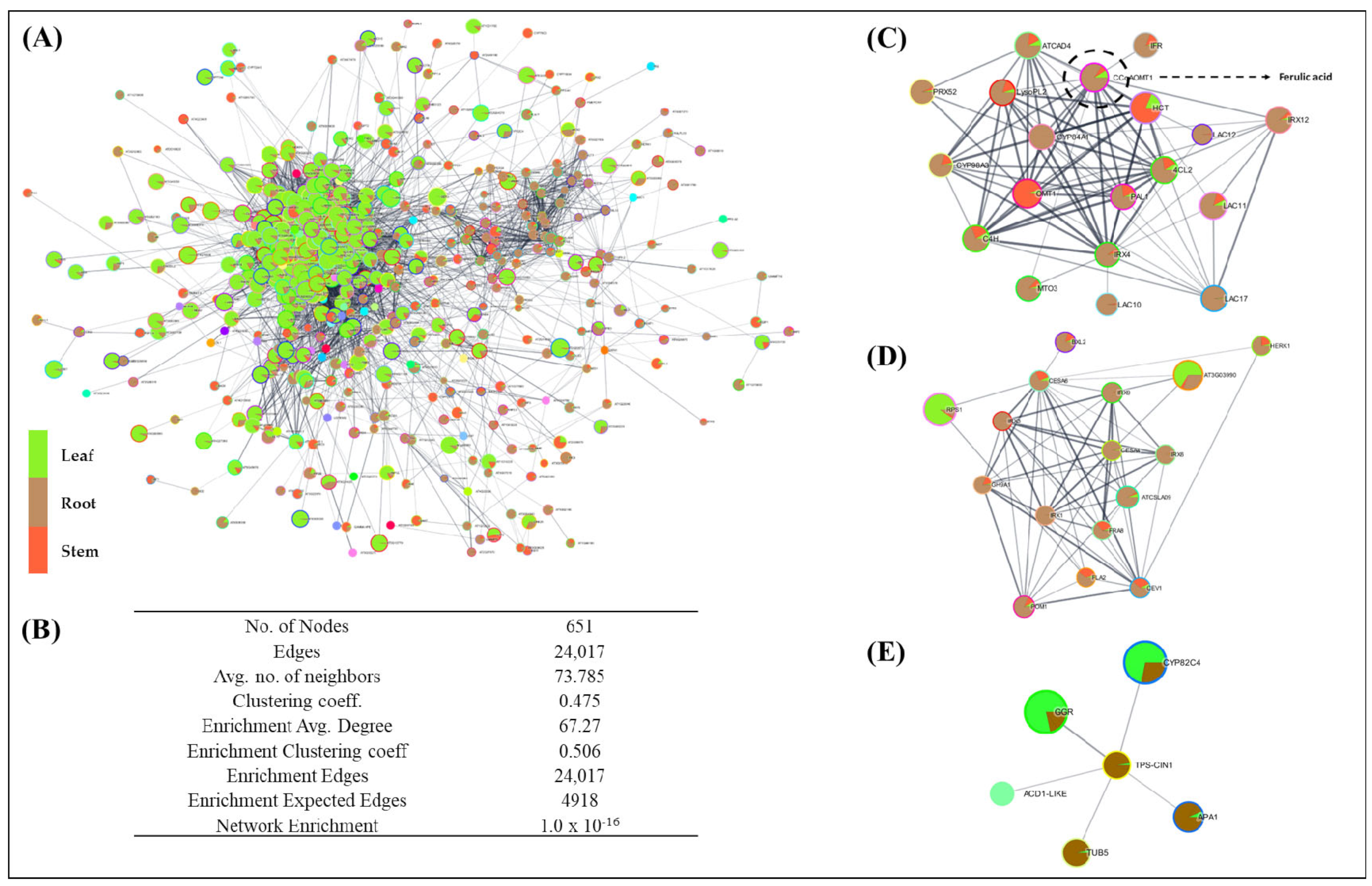 Ijms 23 11064 g004 Ijms 23 11064 g004