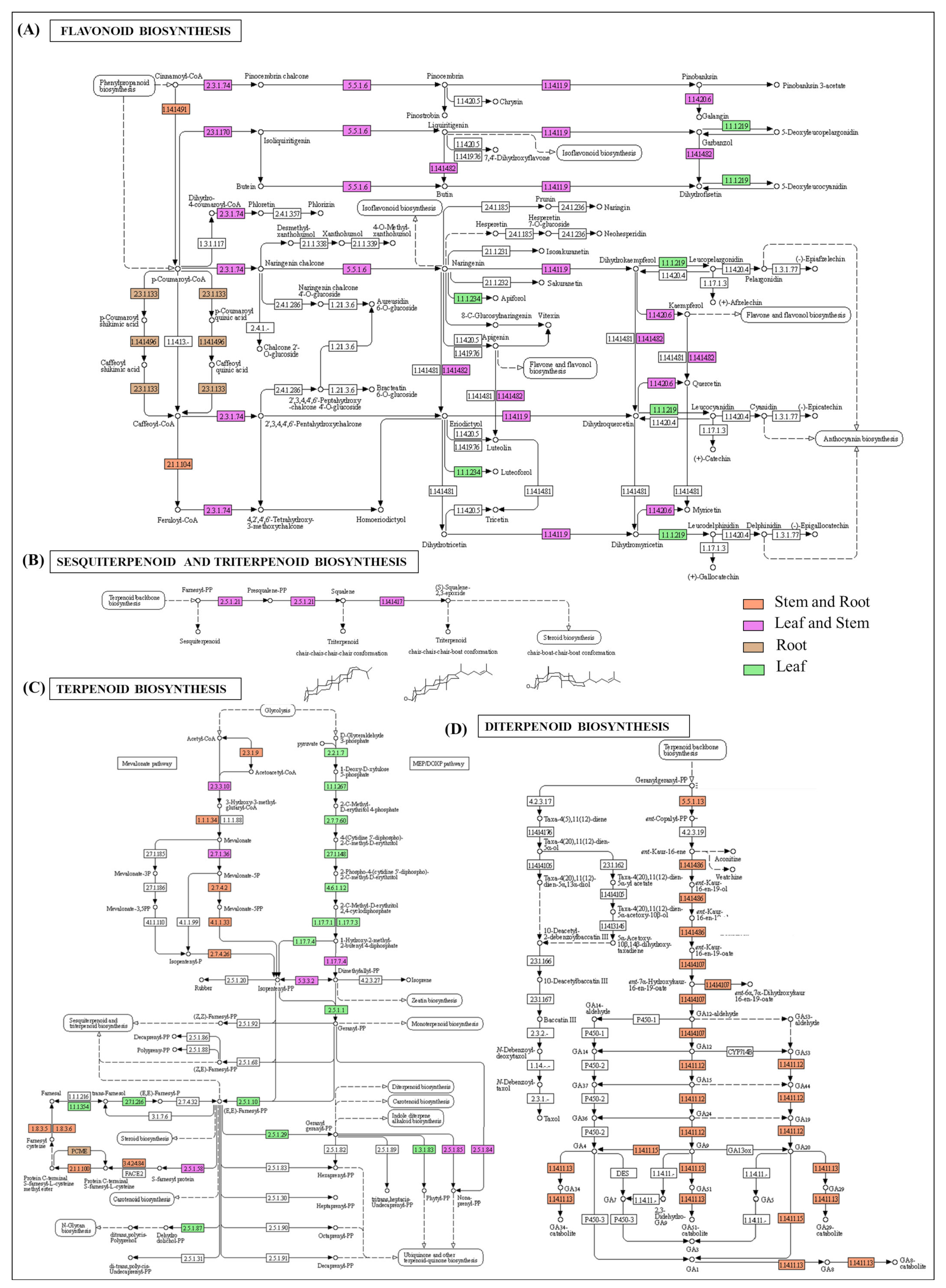 Ijms 23 11064 g006 Ijms 23 11064 g006