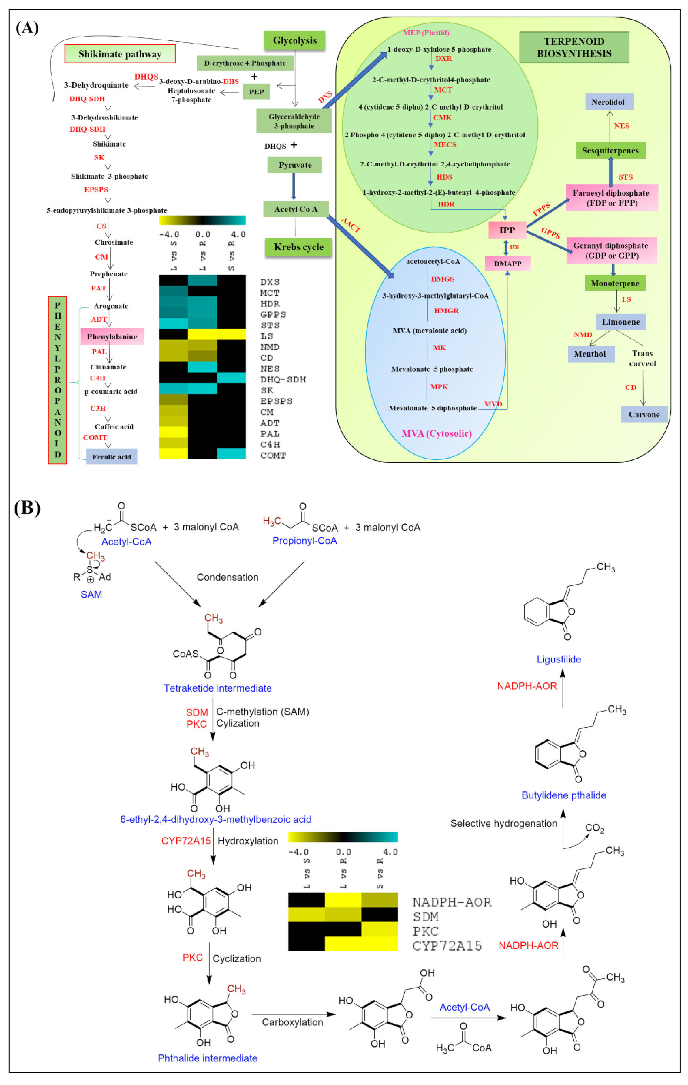 Ijms 23 11064 g007 Ijms 23 11064 g007
