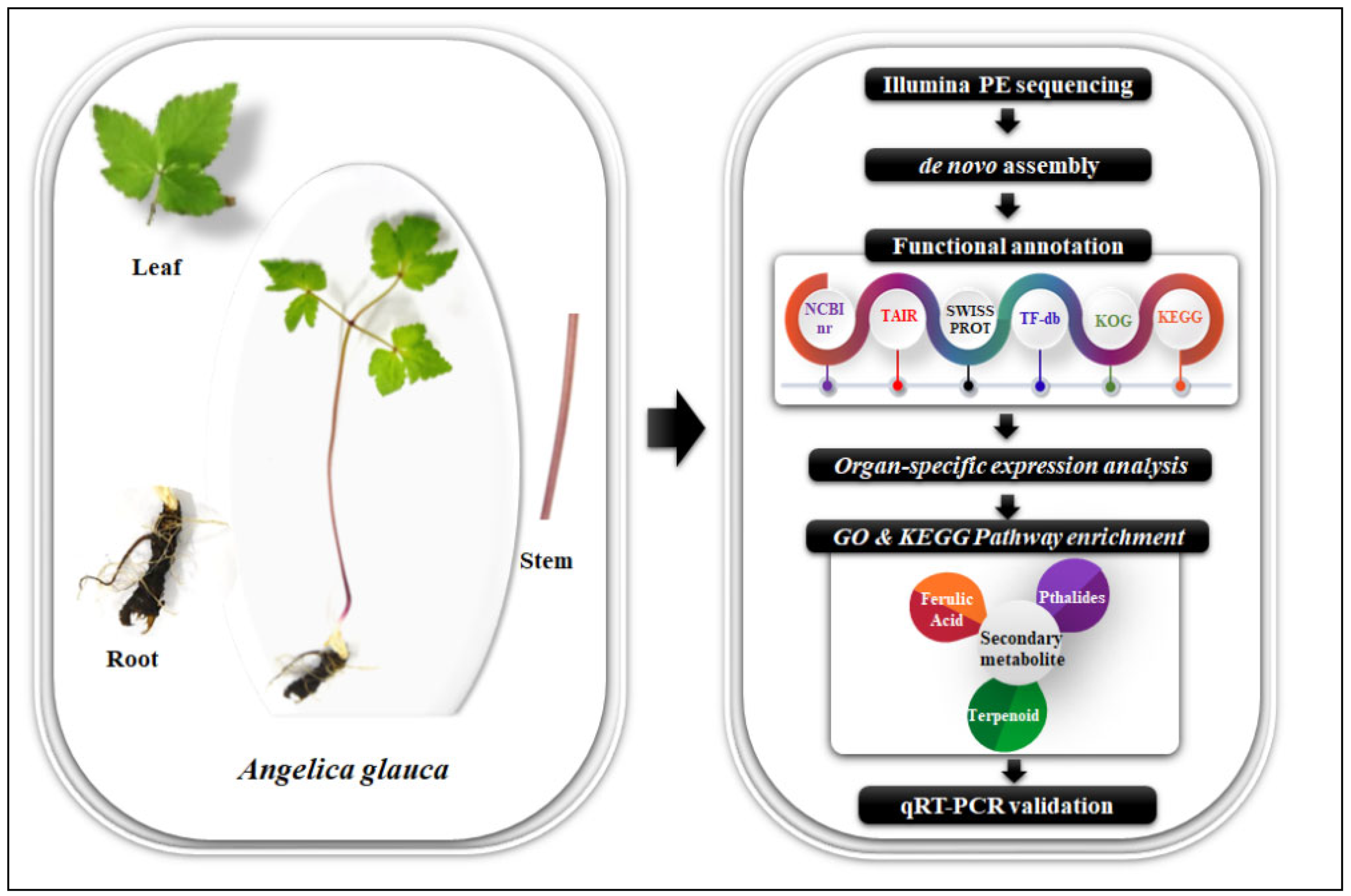 Ijms 23 11064 g012 Ijms 23 11064 g012