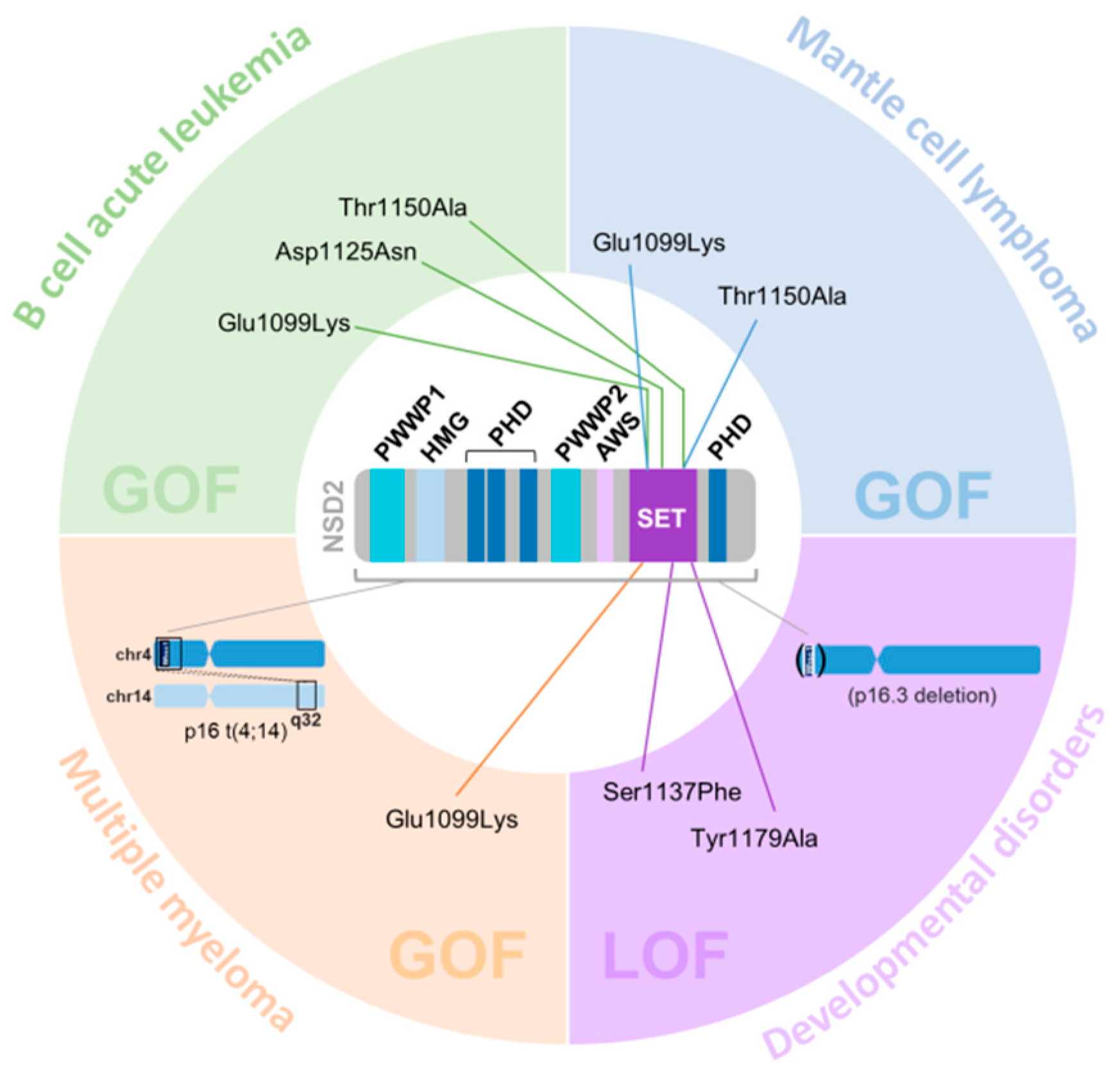 Ijms 23 11075 g002 Ijms 23 11075 g002