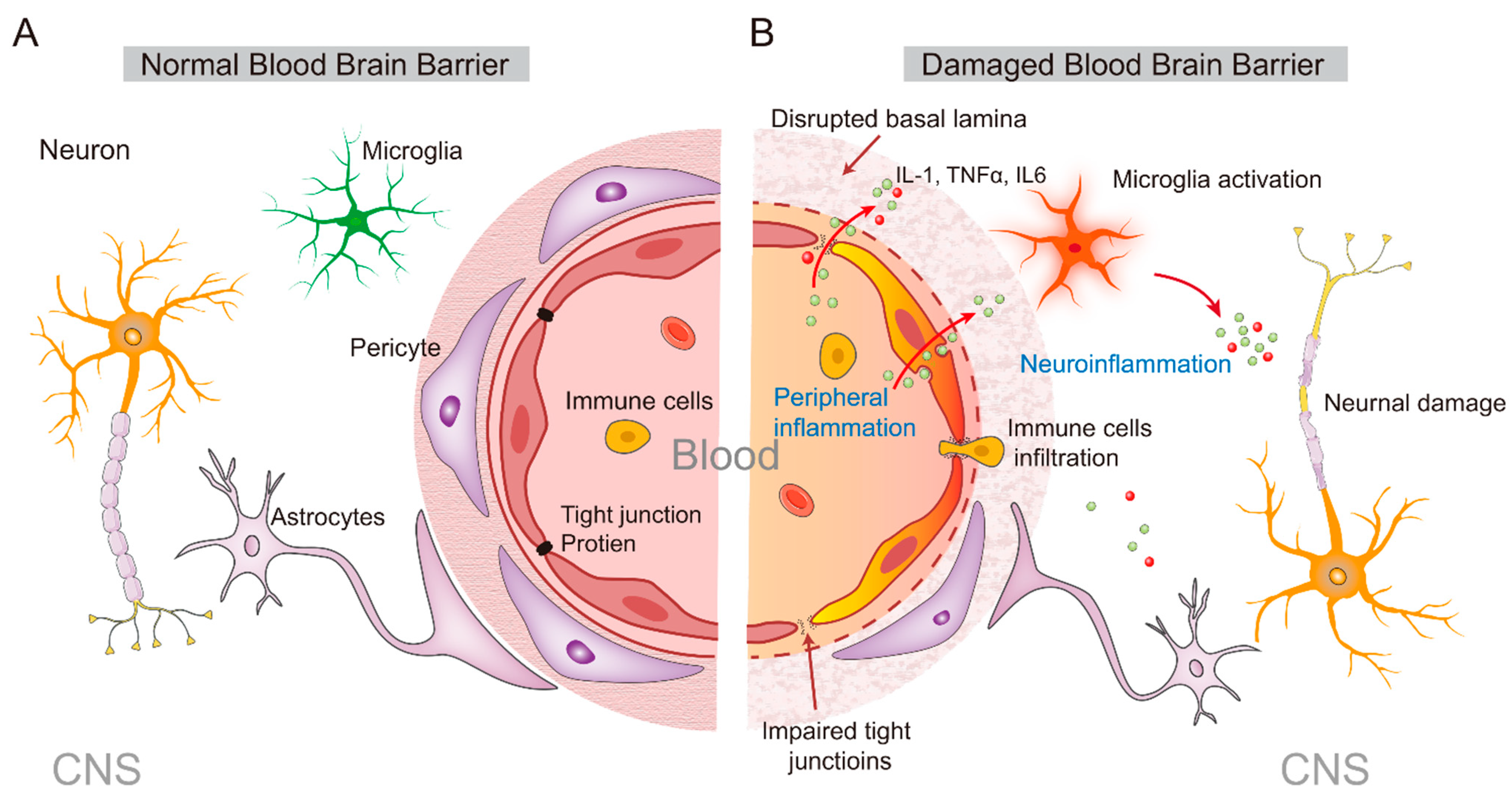 Ijms 23 11076 g002 Ijms 23 11076 g002