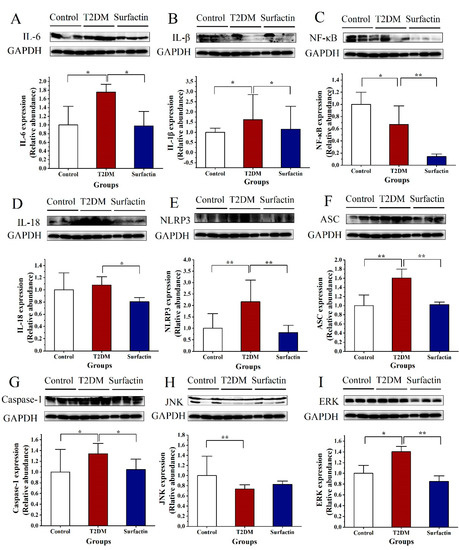 Surfactin Mitigates a High-Fat Diet and Streptozotocin Surfactin Mitigates a High-Fat Diet and Streptozotocin