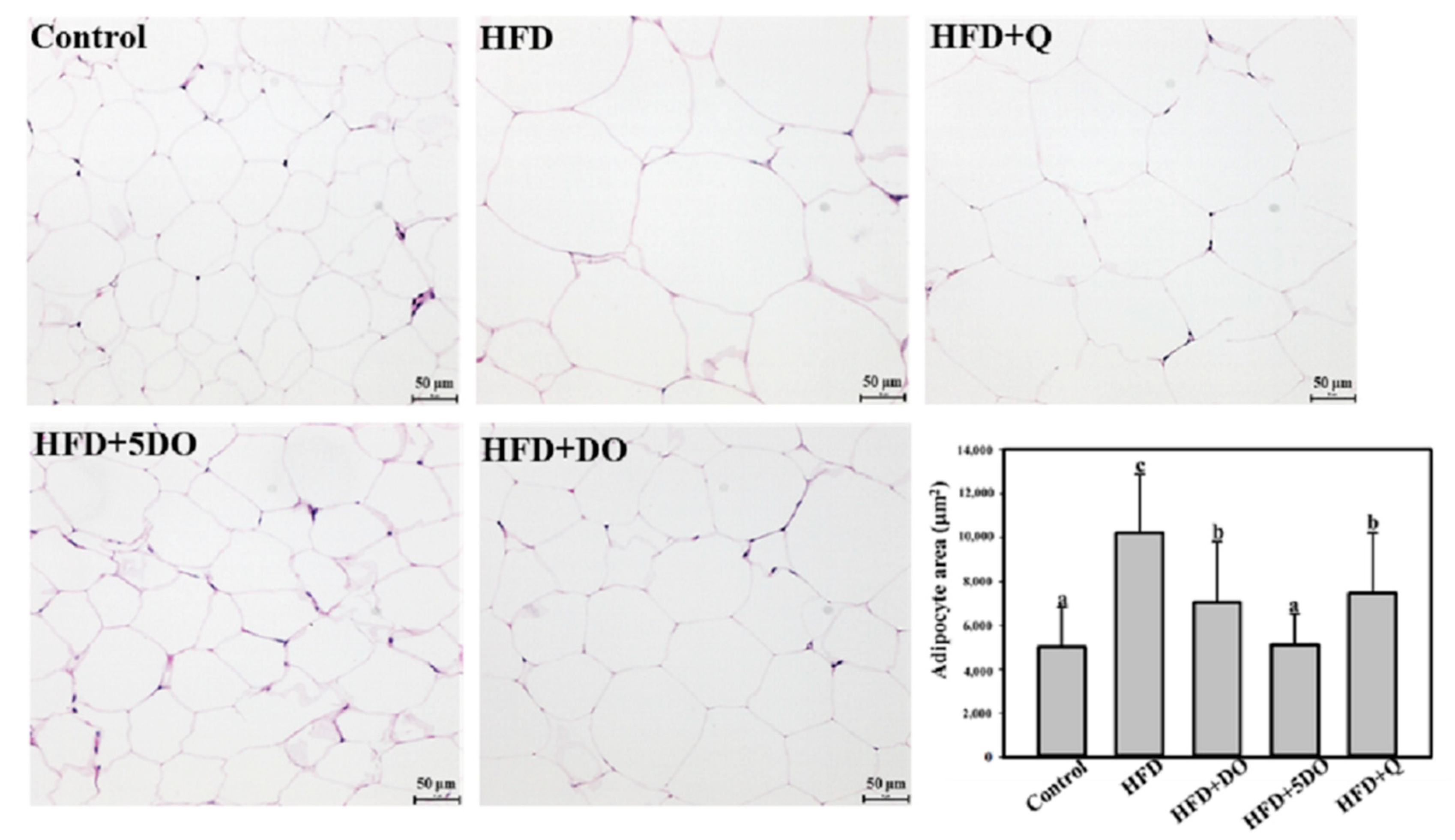 Ijms 23 11091 g001 550