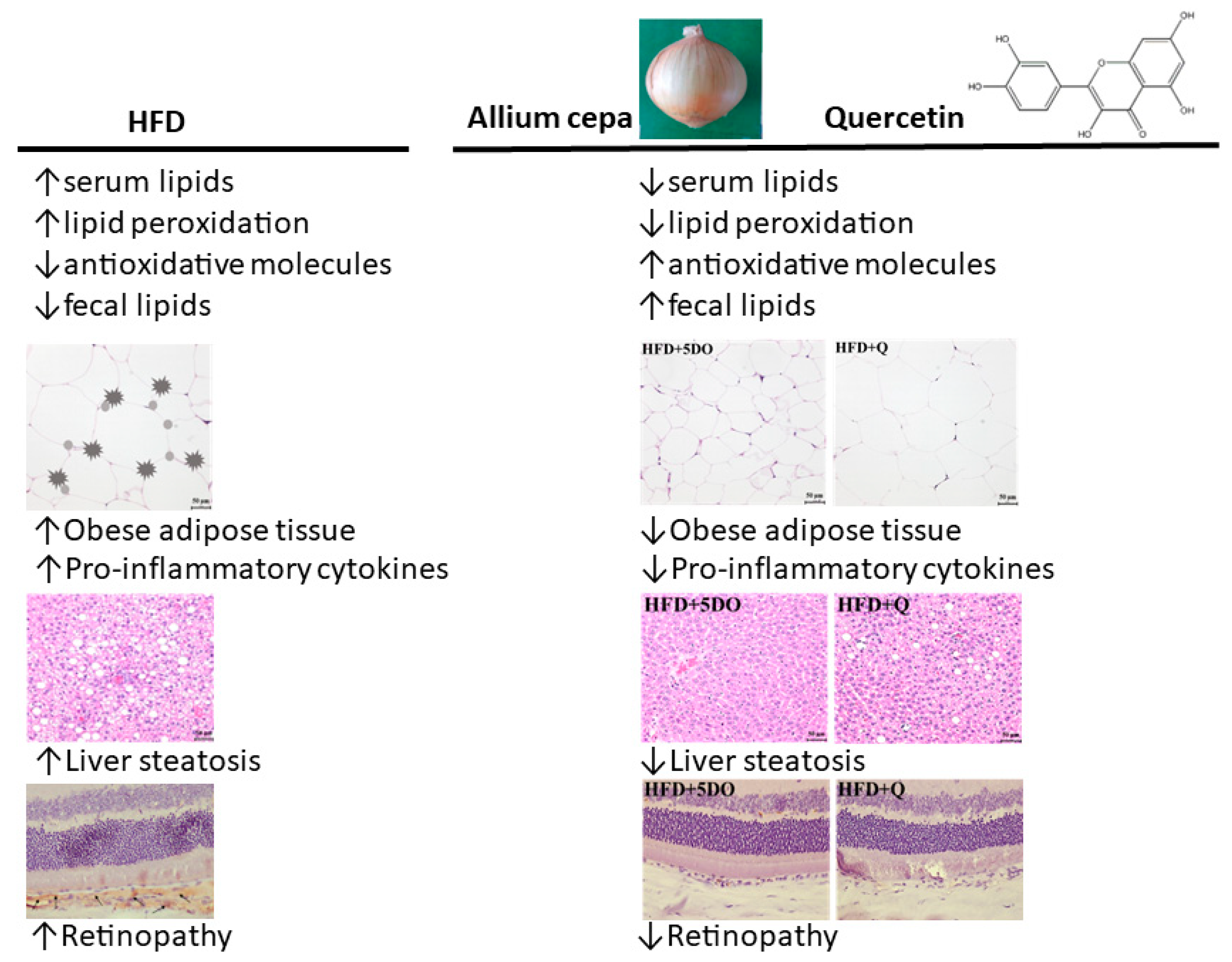 Ijms 23 11091 g005 550