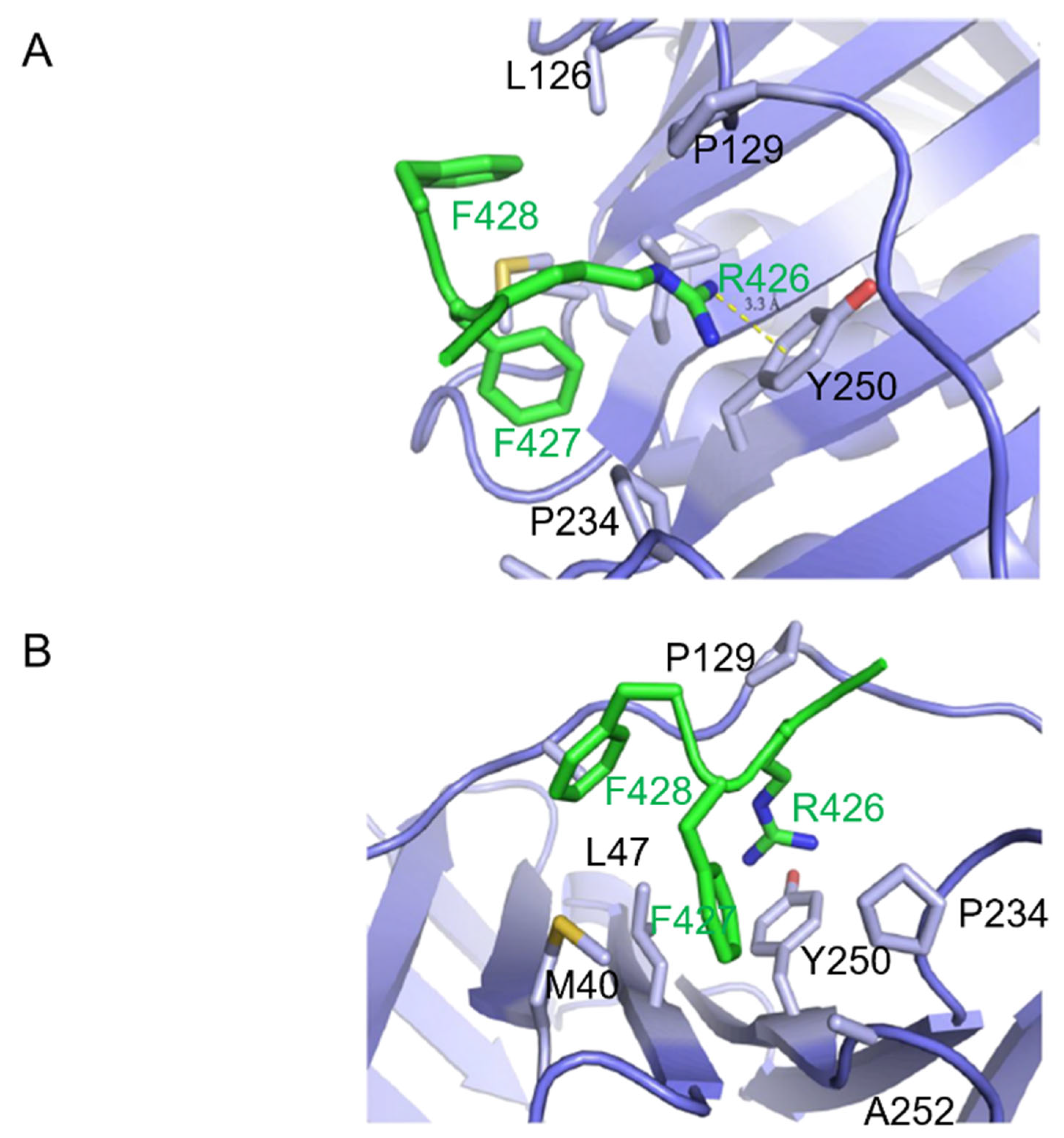 Ijms 23 11099 g003a Ijms 23 11099 g003a