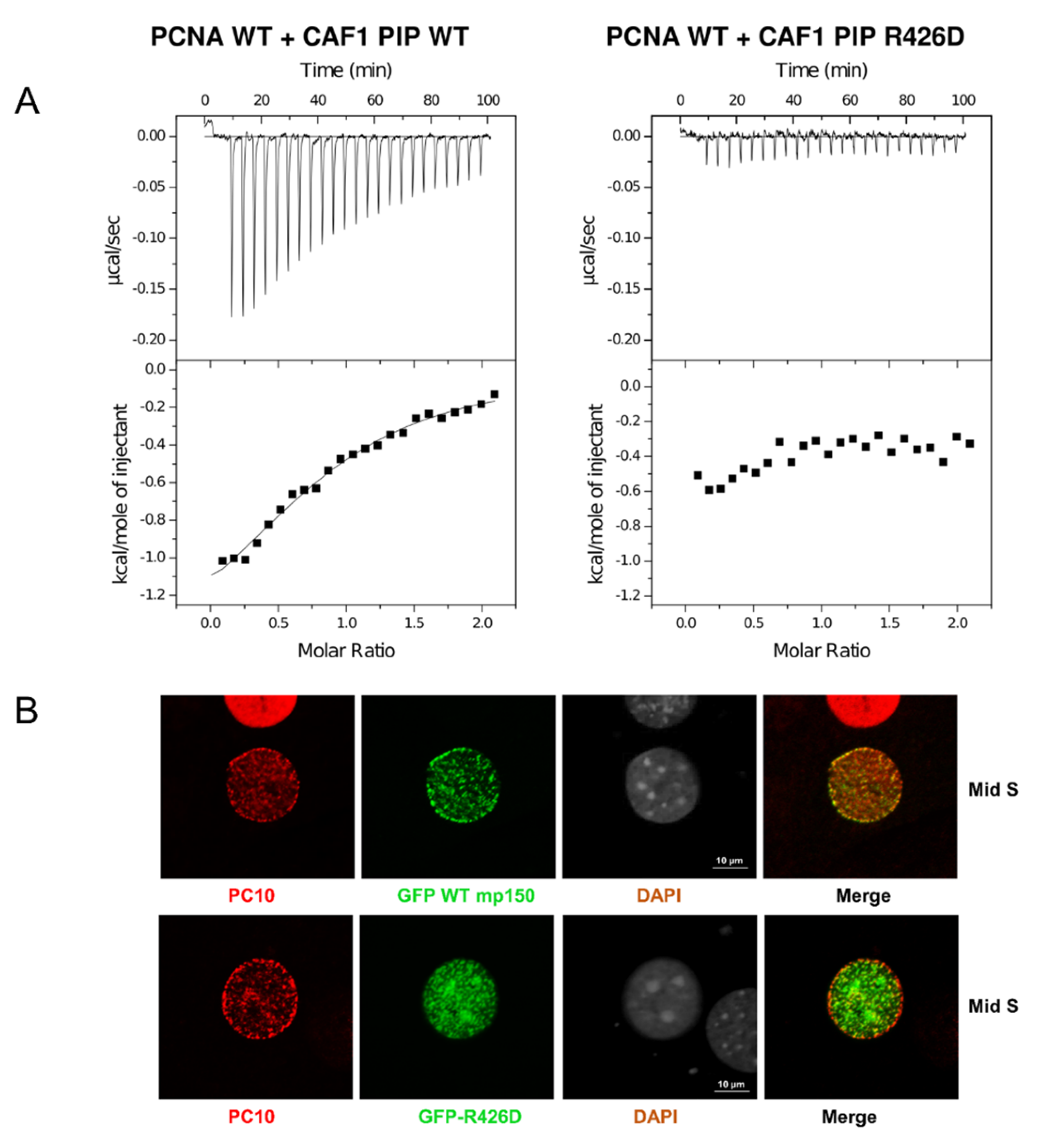 Ijms 23 11099 g004a Ijms 23 11099 g004a