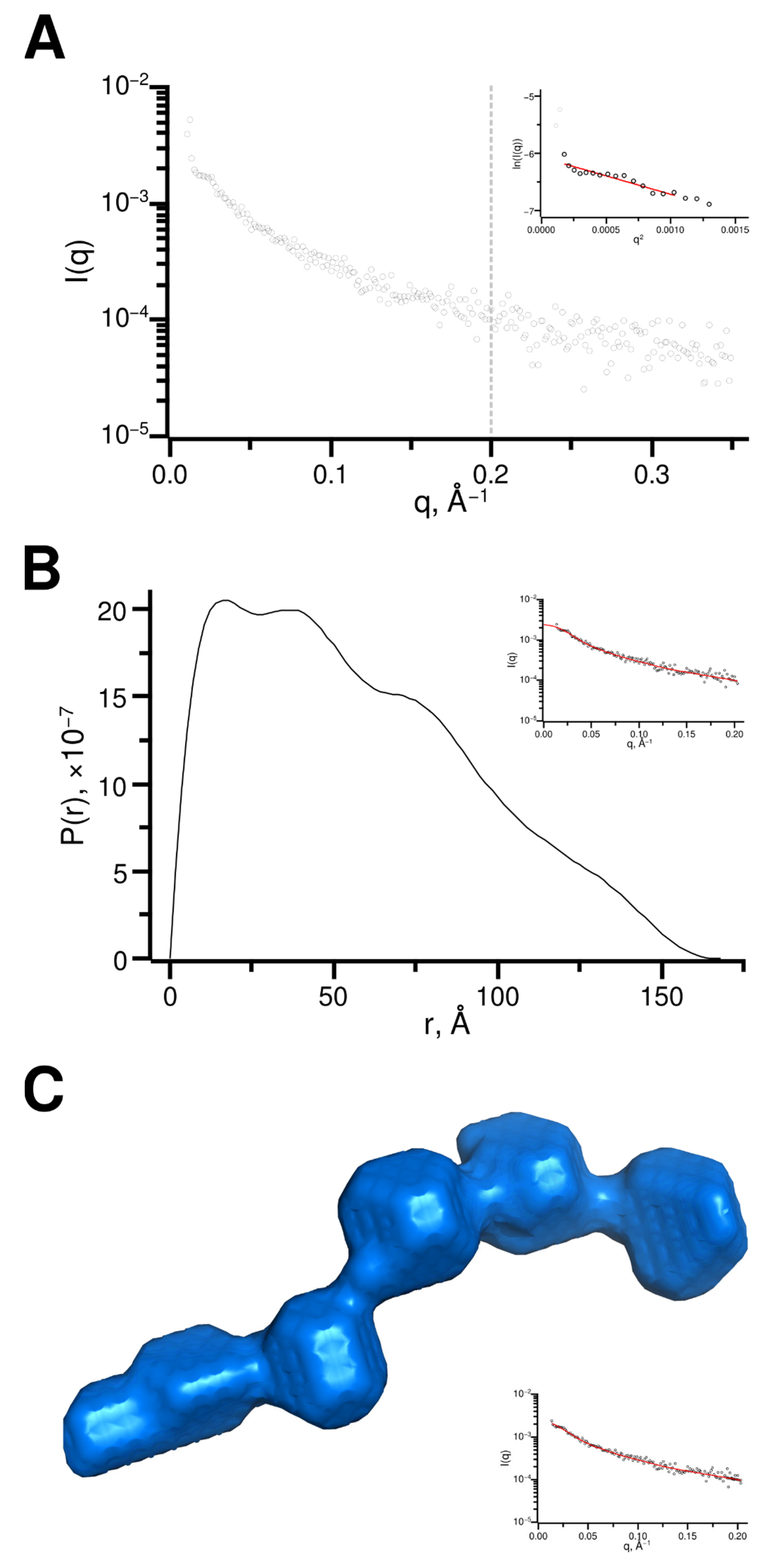 Ijms 23 11099 g007 Ijms 23 11099 g007