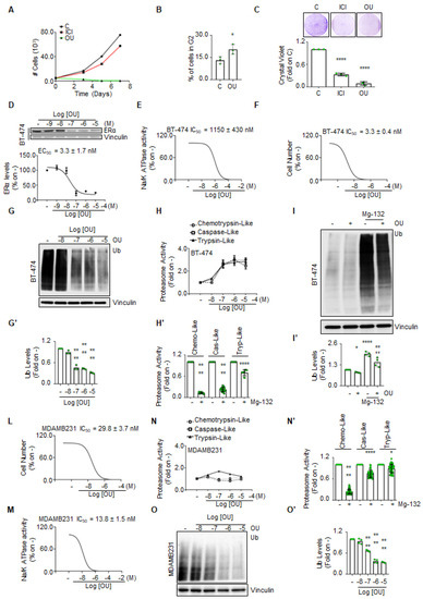 Evaluation of the Sensitivity of Breast Cancer Cell Lines to Cardiac ...