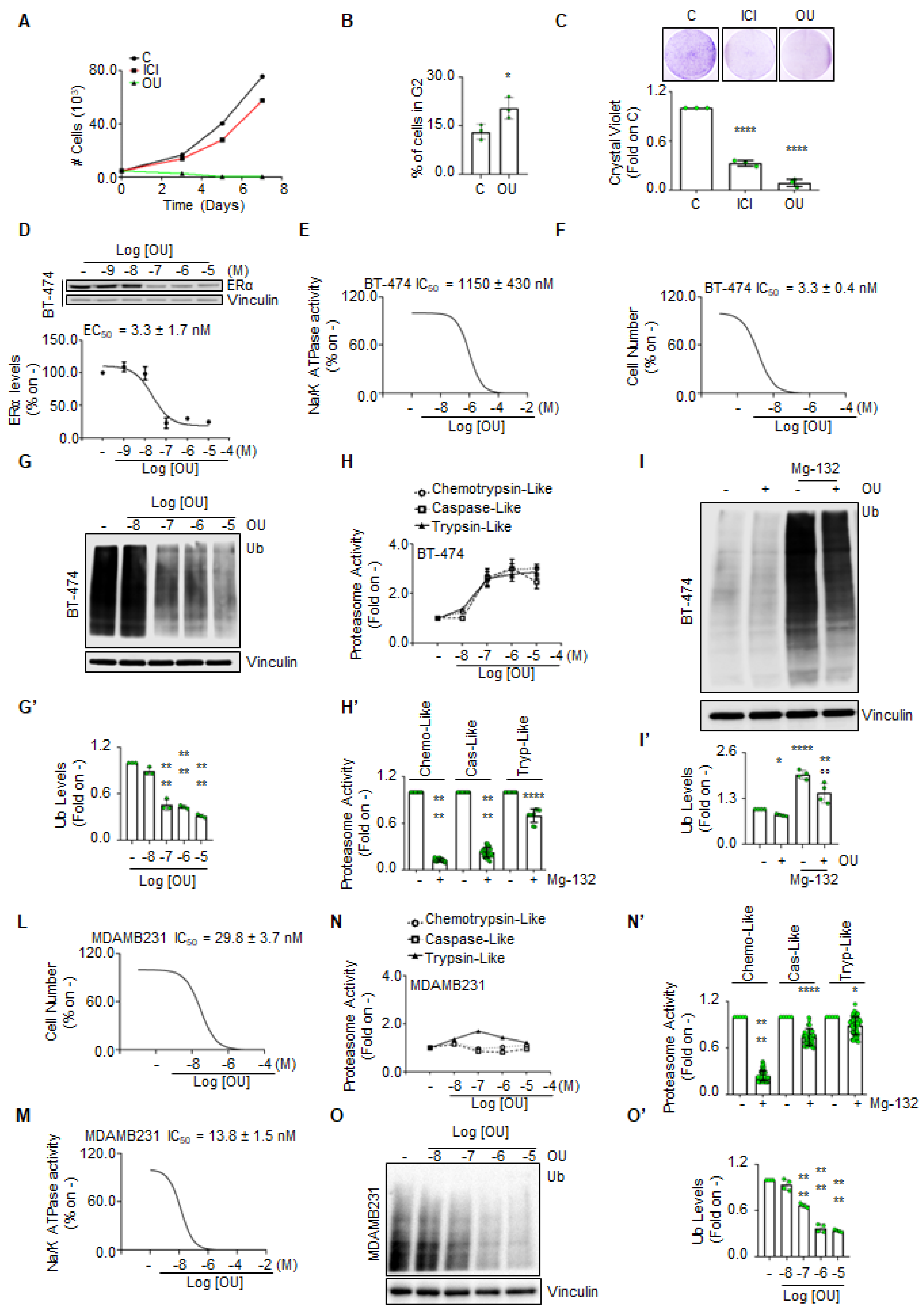 Ijms 23 11102 g002 550