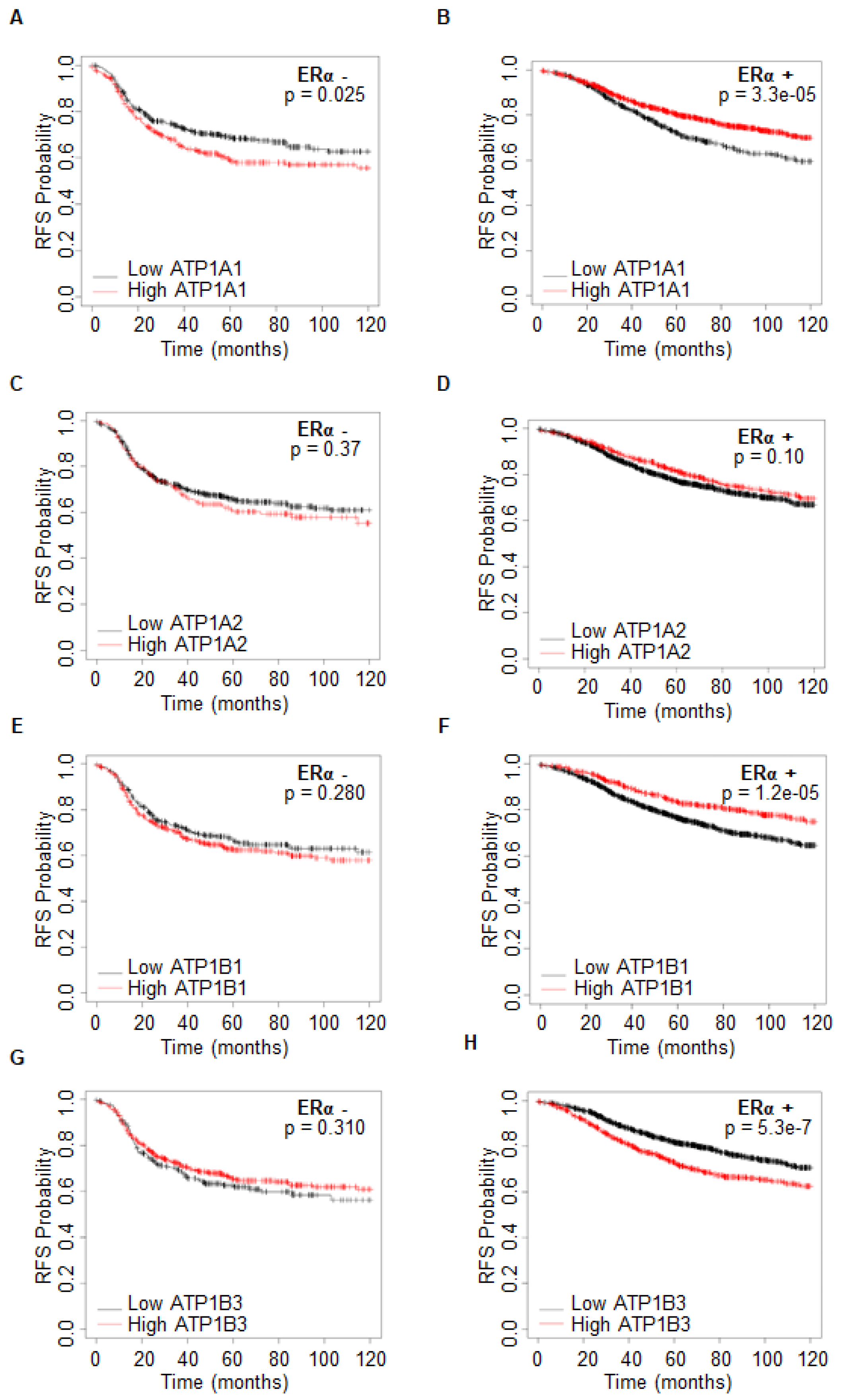 Ijms 23 11102 g004 550
