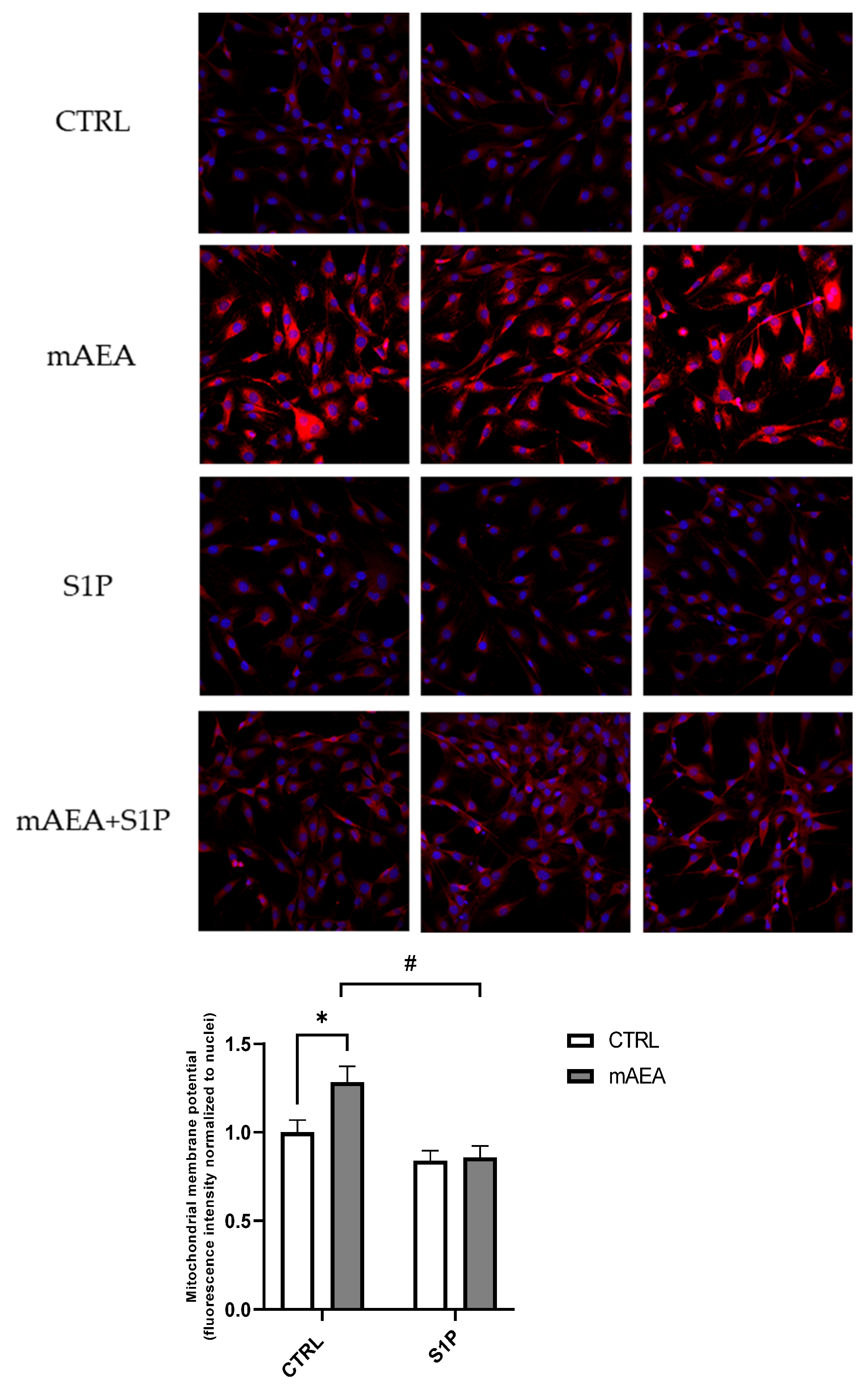 Ijms 23 11103 g009 Ijms 23 11103 g009