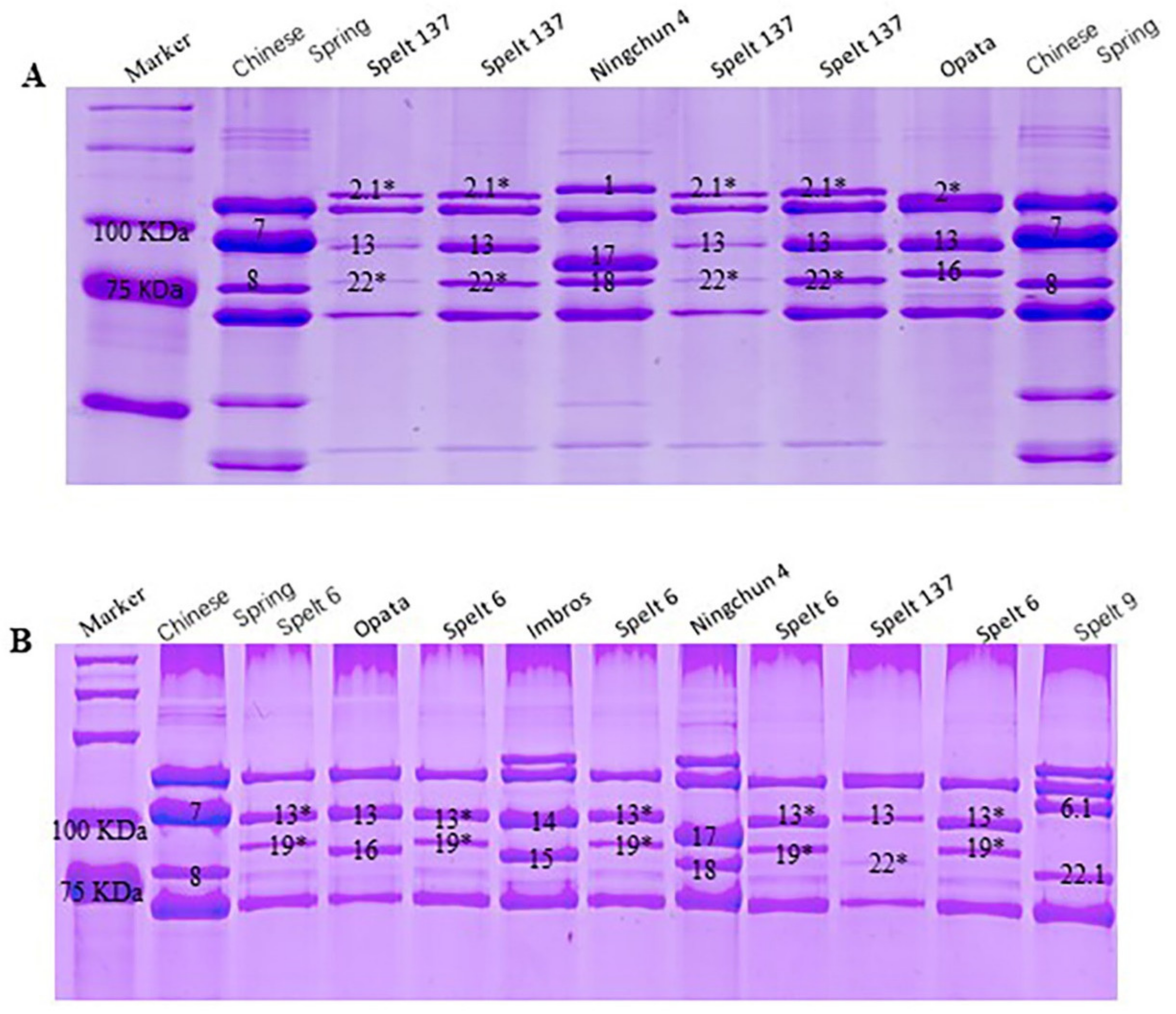 Ijms 23 11104 g001 Ijms 23 11104 g001